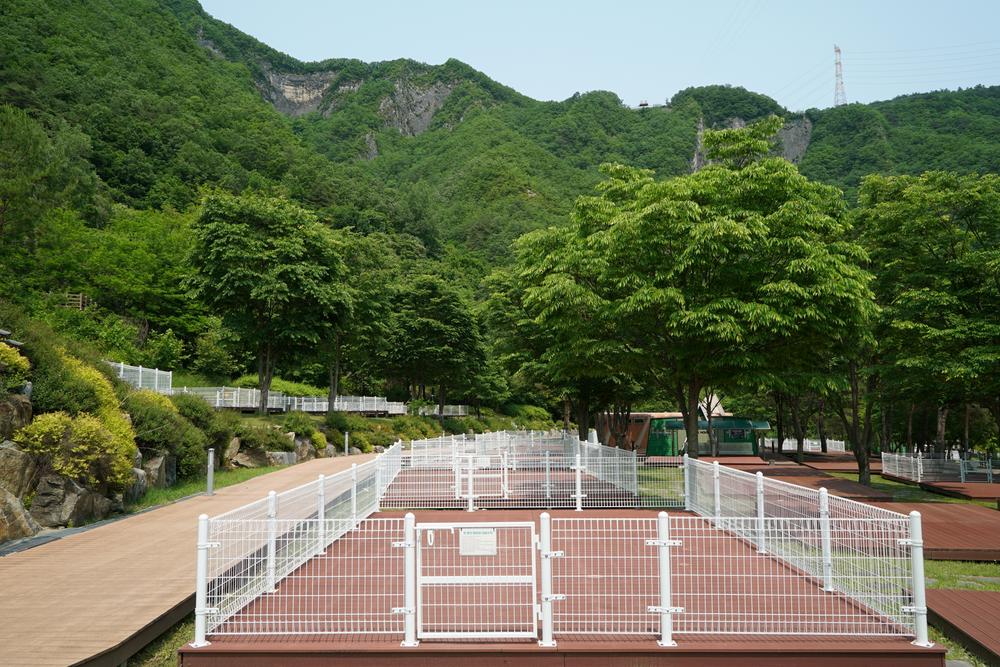 정선군생태체험학습장야영장 펫 동반 캠핑장