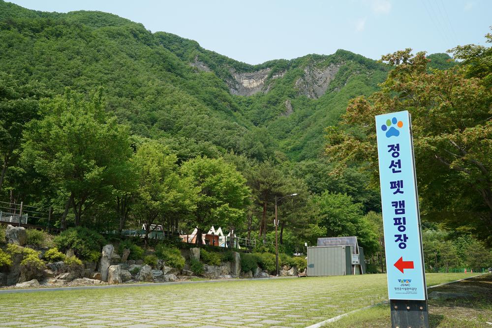 정선군생태체험학습장야영장 펫 동반 캠핑장