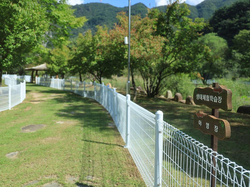 정선군생태체험학습장야영장 펫 동반 캠핑장