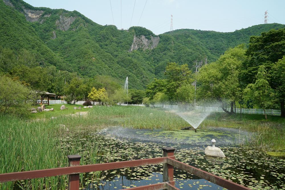 정선군생태체험학습장야영장 펫 동반 캠핑장