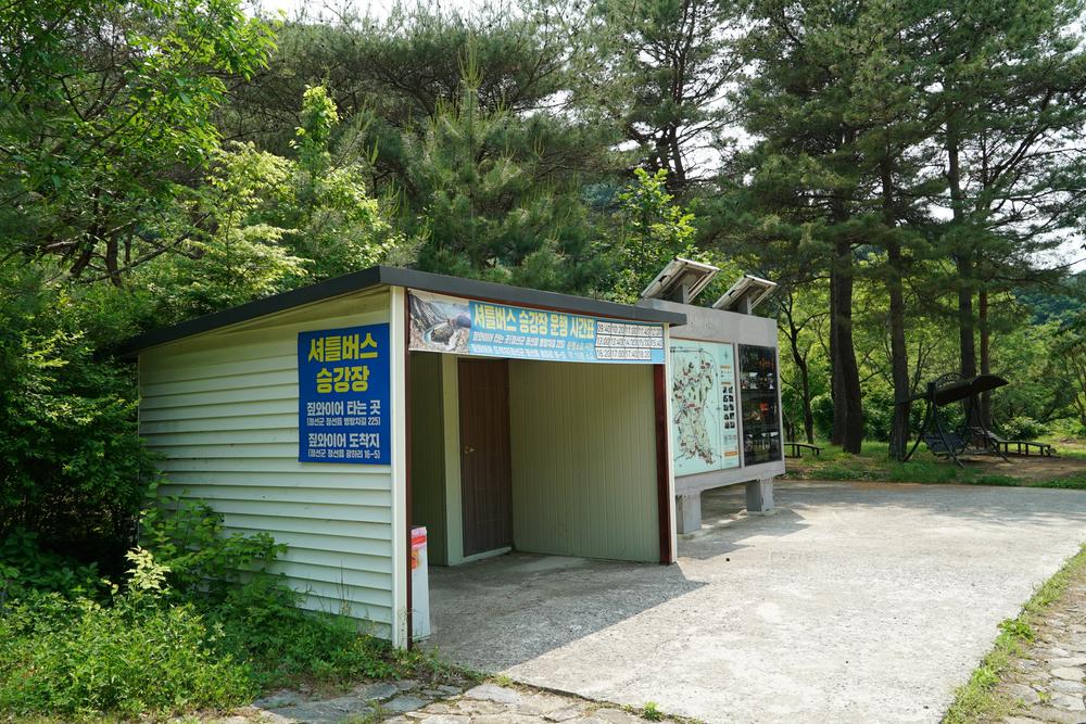 정선군생태체험학습장야영장 펫 동반 캠핑장