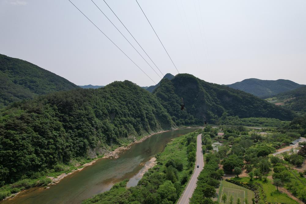 정선군생태체험학습장야영장 펫 동반 캠핑장