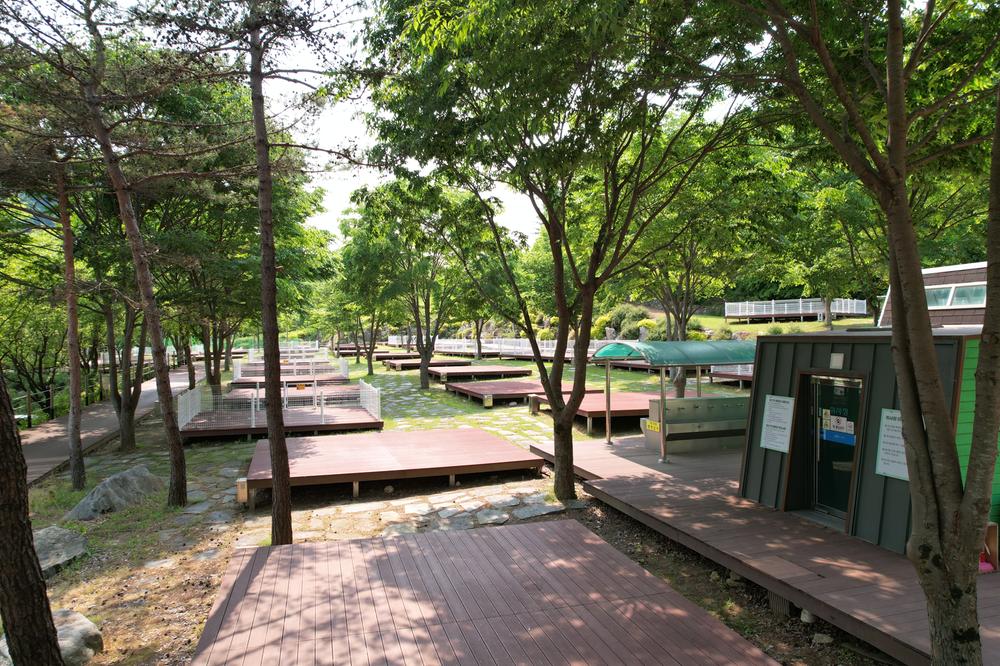 정선군생태체험학습장야영장 펫 동반 캠핑장