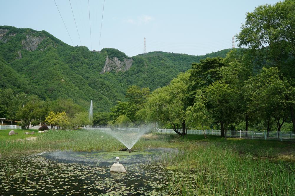 정선군생태체험학습장야영장 펫 동반 캠핑장