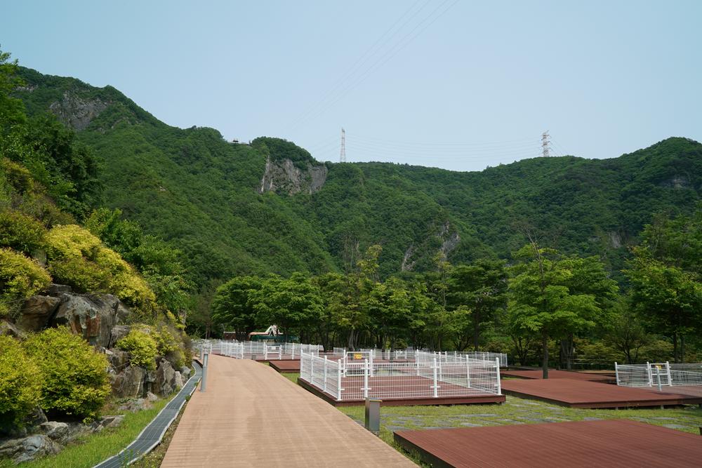 정선군생태체험학습장야영장 펫 동반 캠핑장