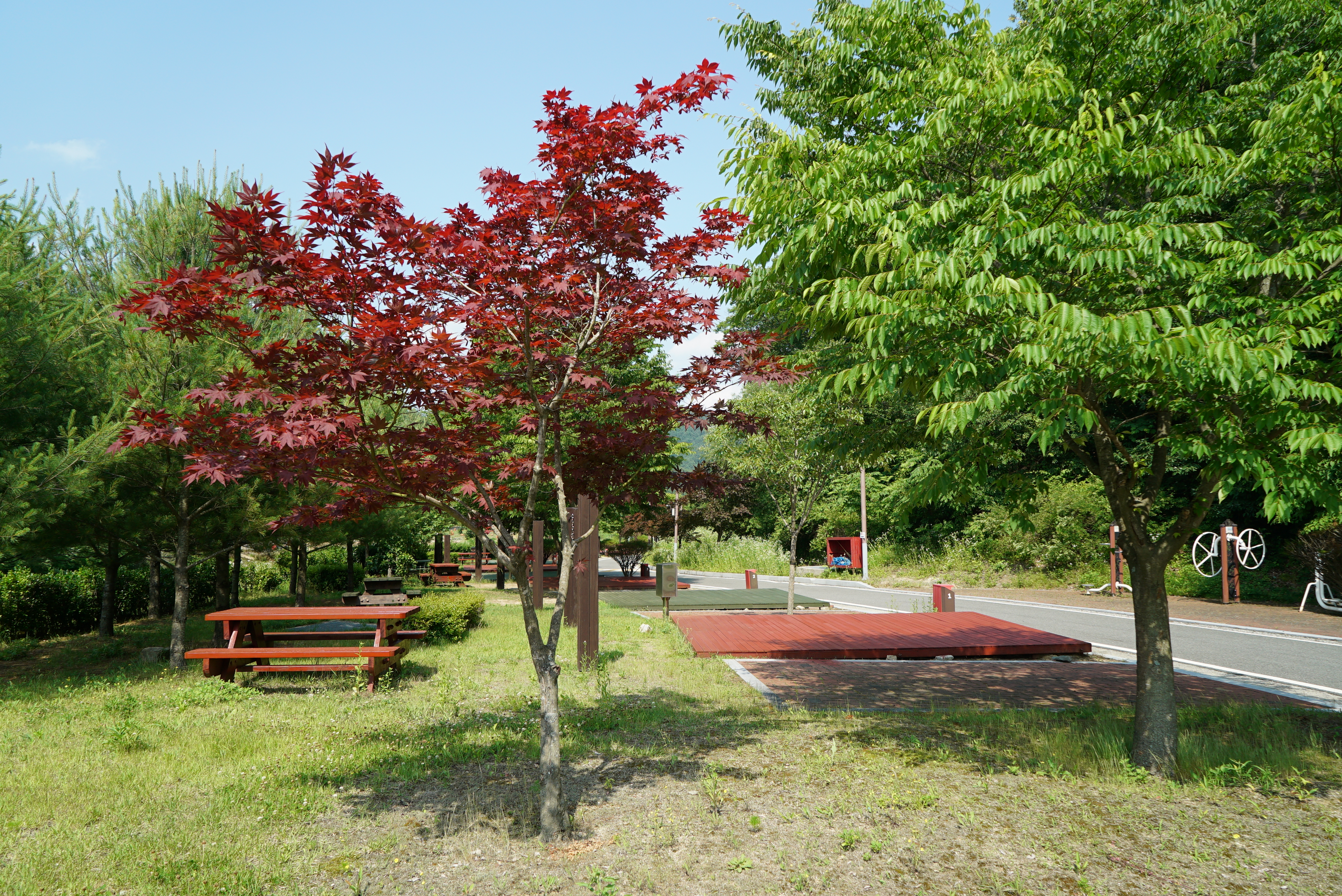 증산수도계곡캠핑장 28번째 이미지