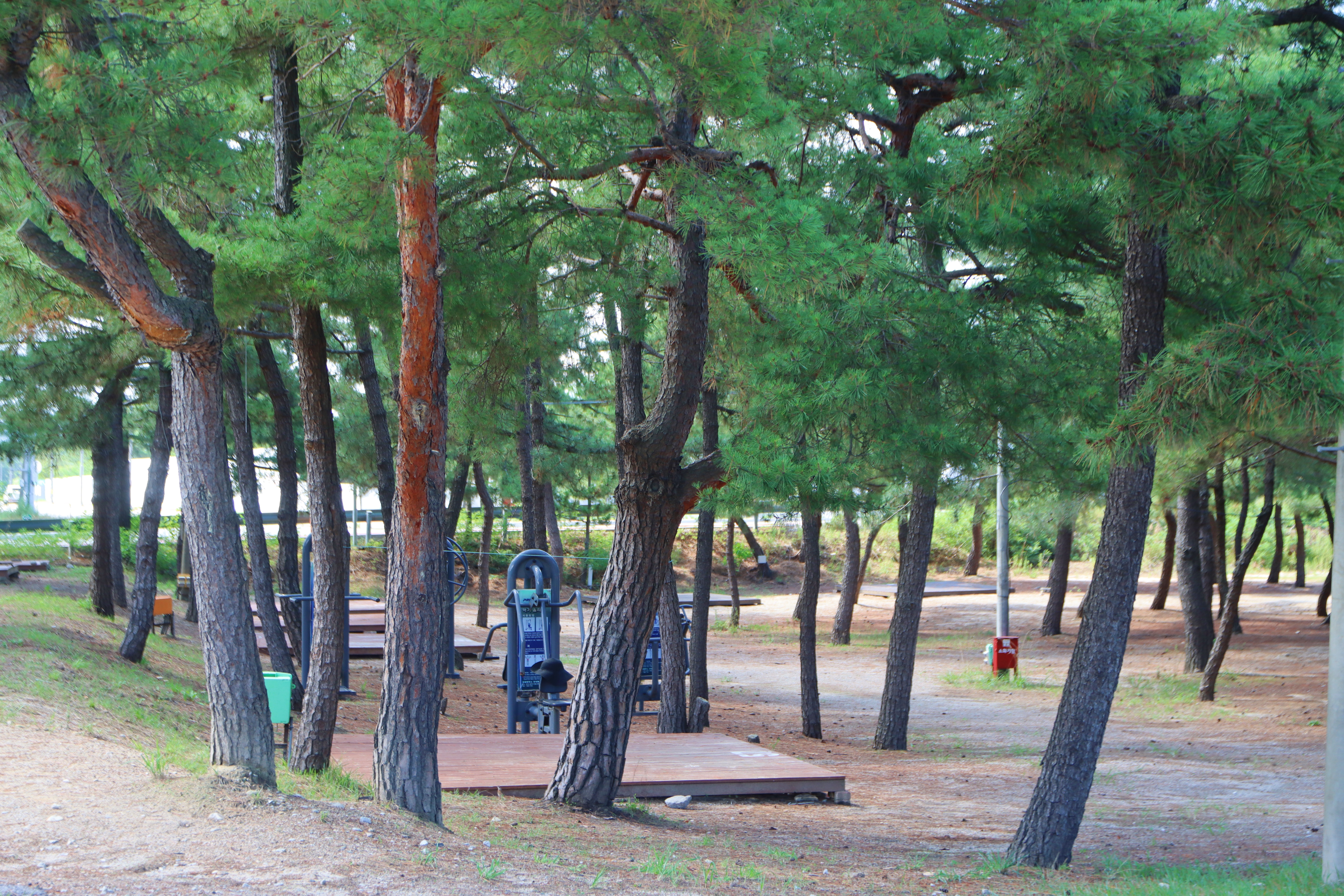 지경국민여가캠핑장 28번째 이미지