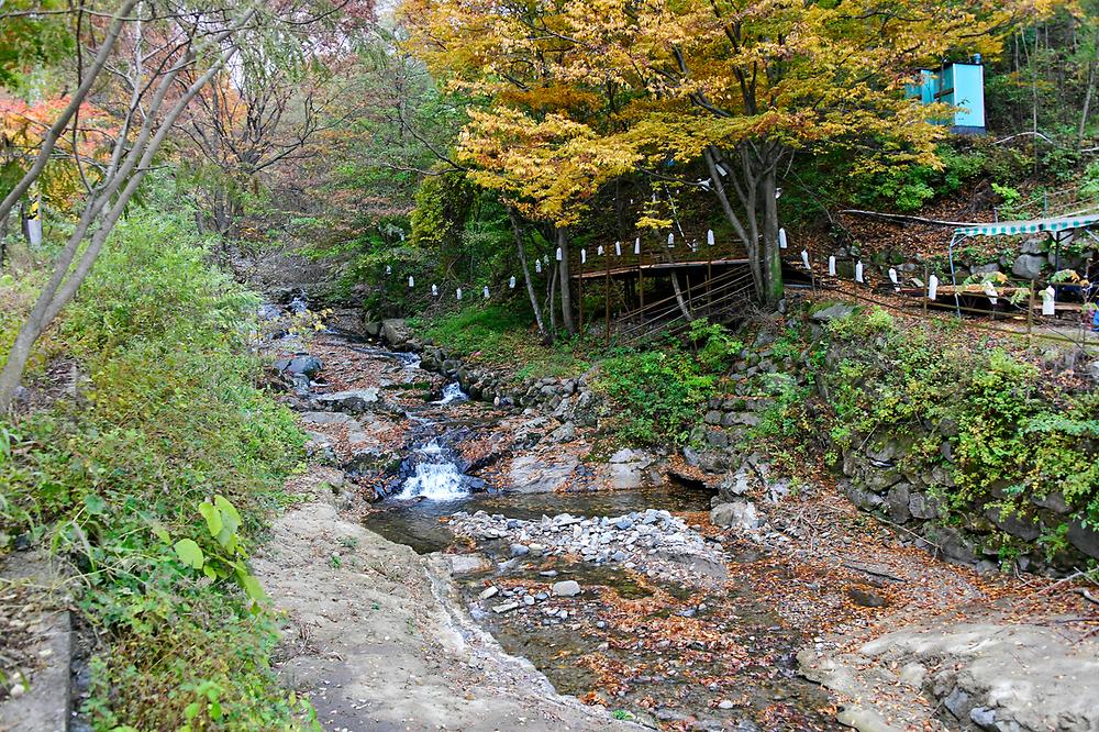 지리산오도재힐링캠핑장