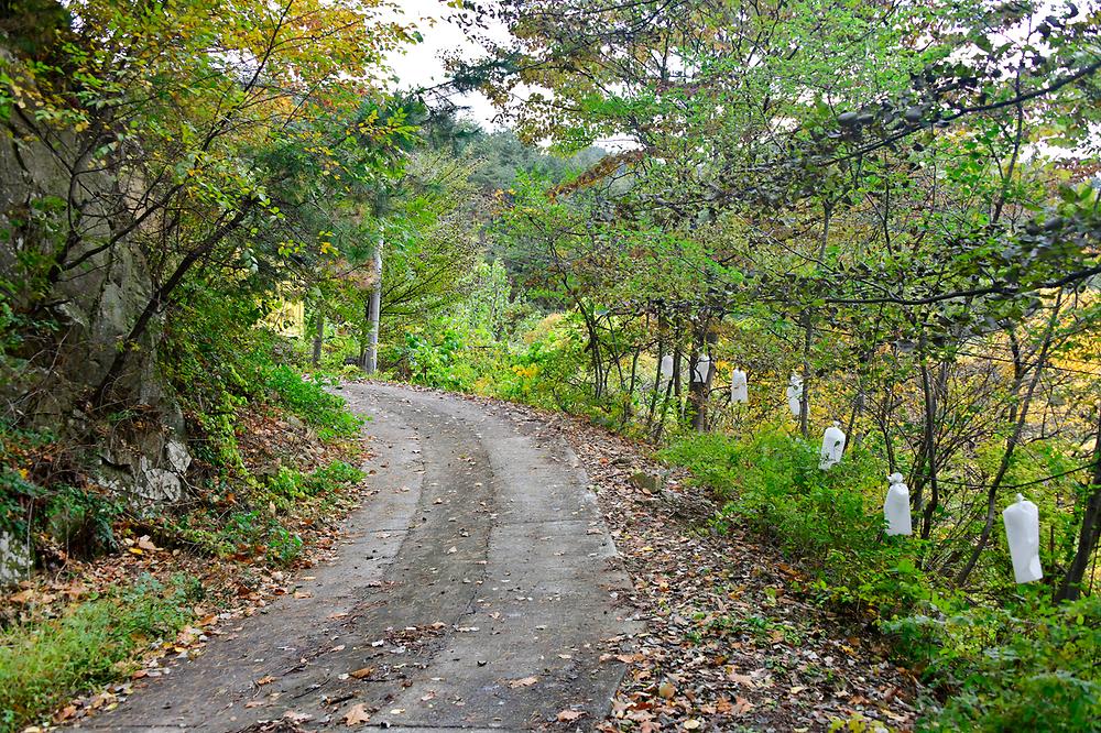 지리산오도재힐링캠핑장