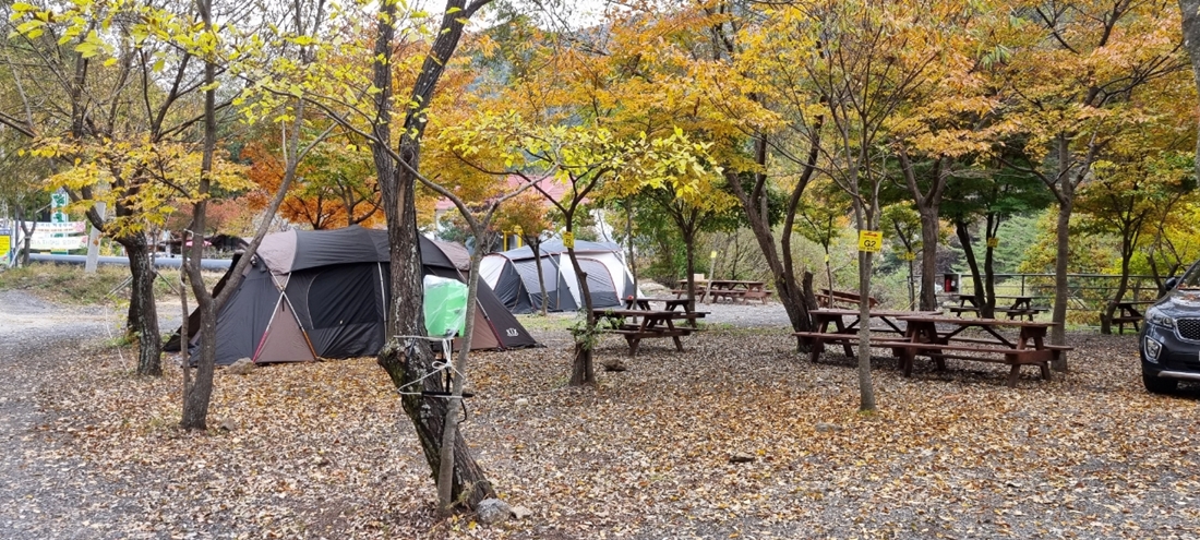 지리산천왕봉오토캠핑장 25번째 이미지