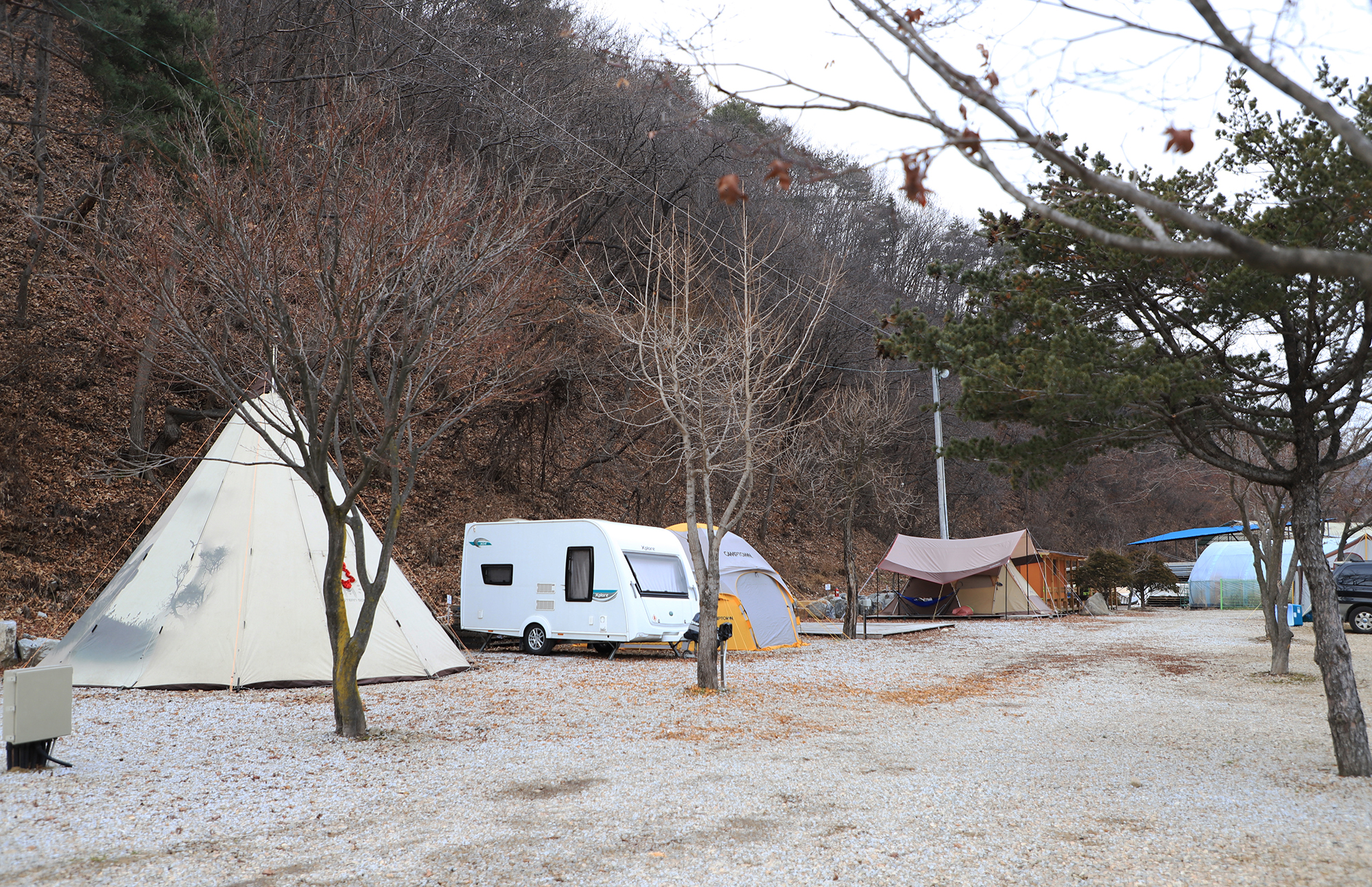 원주 진밭골향기관광농원 야영장 10