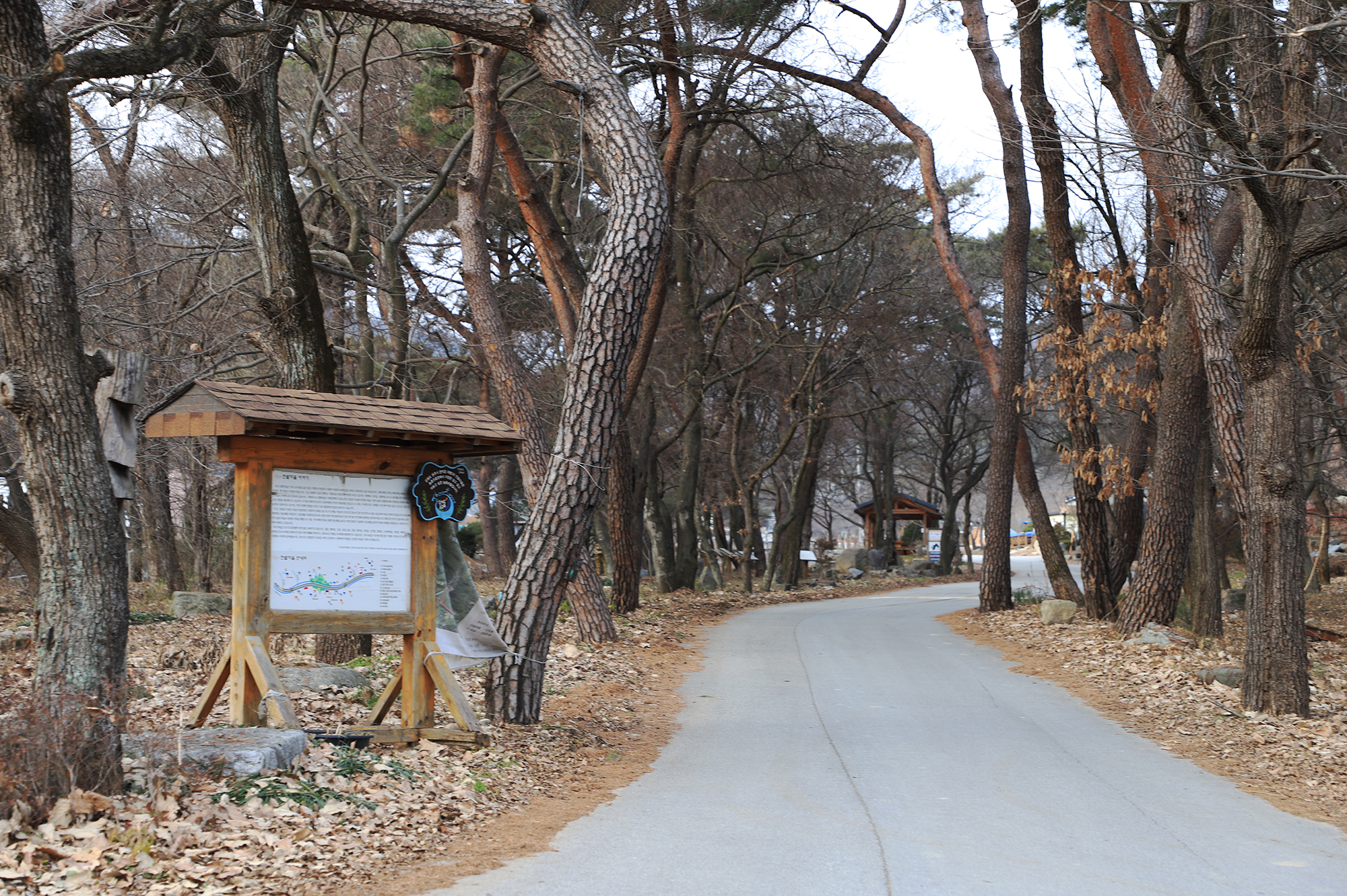 진밭골향기관광농원 야영장 이미지