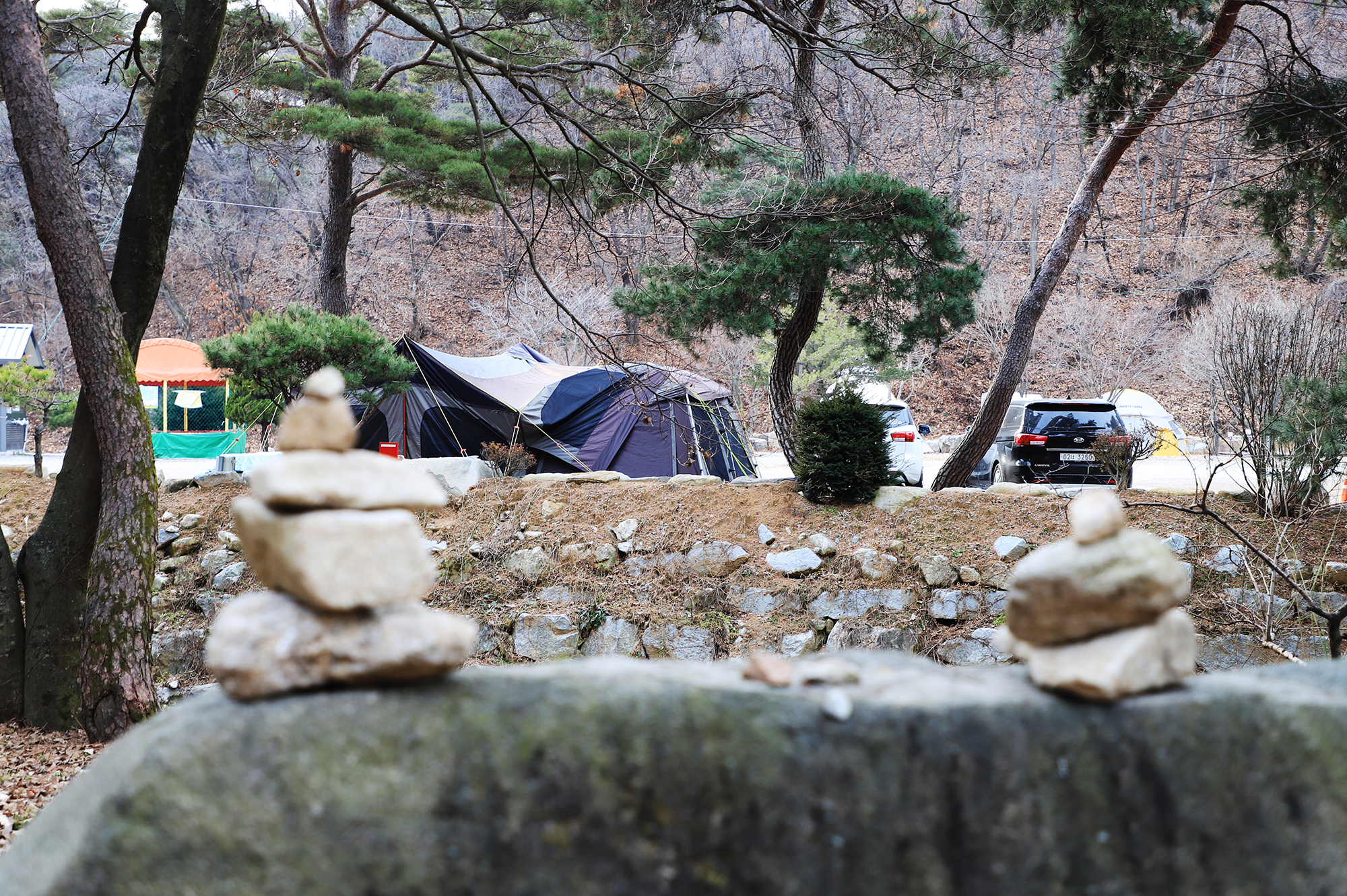 진밭골향기관광농원 야영장 이미지