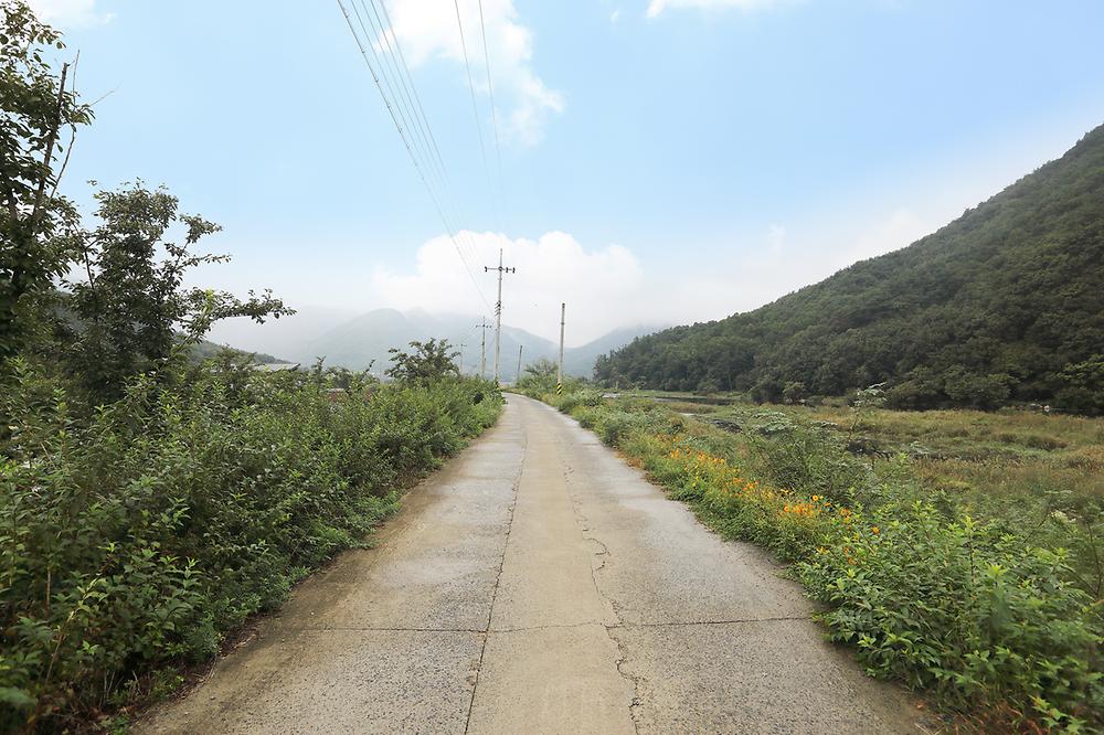 청도 지오오토캠핑장