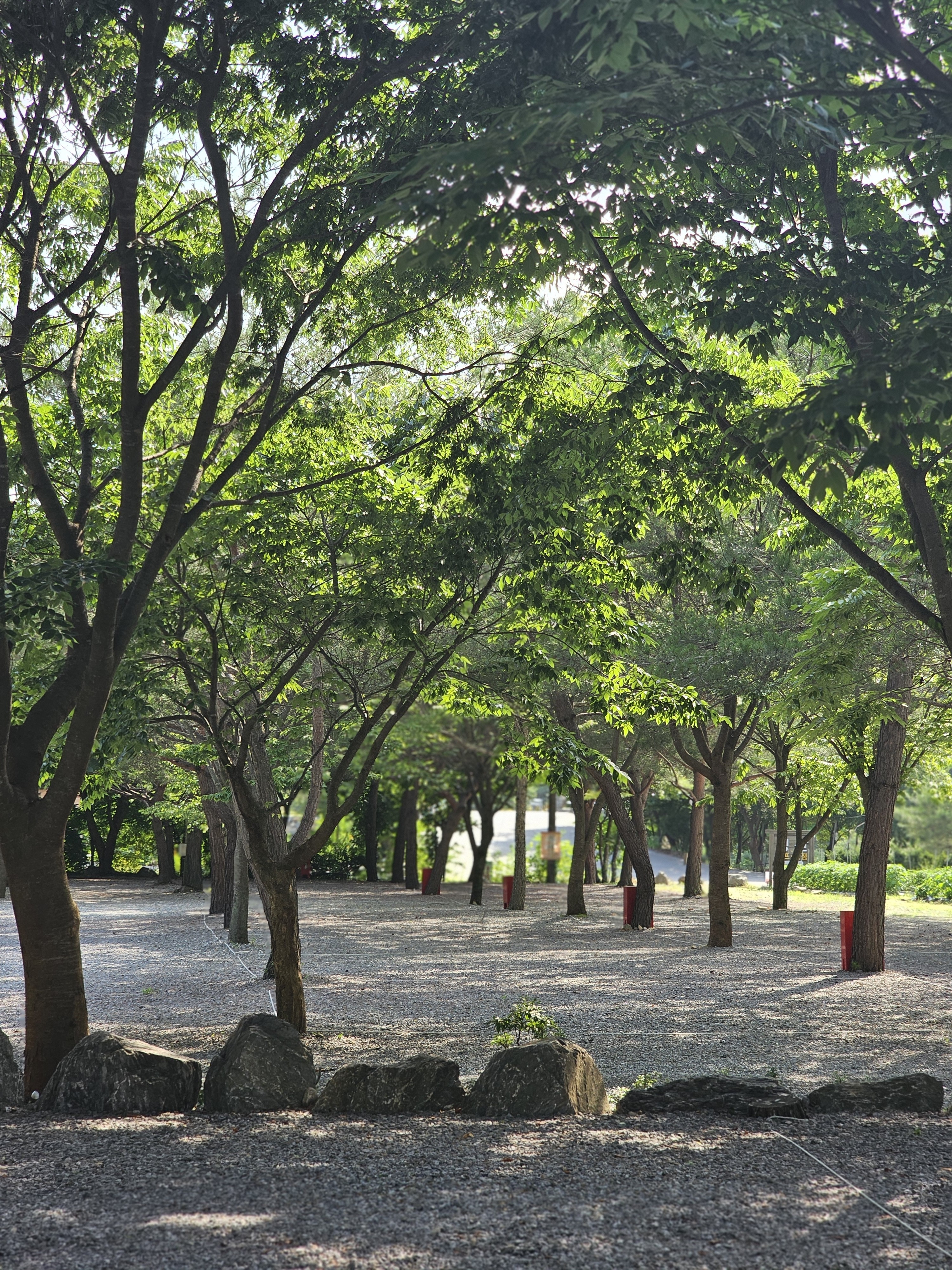 청산 캠프 4번째 이미지