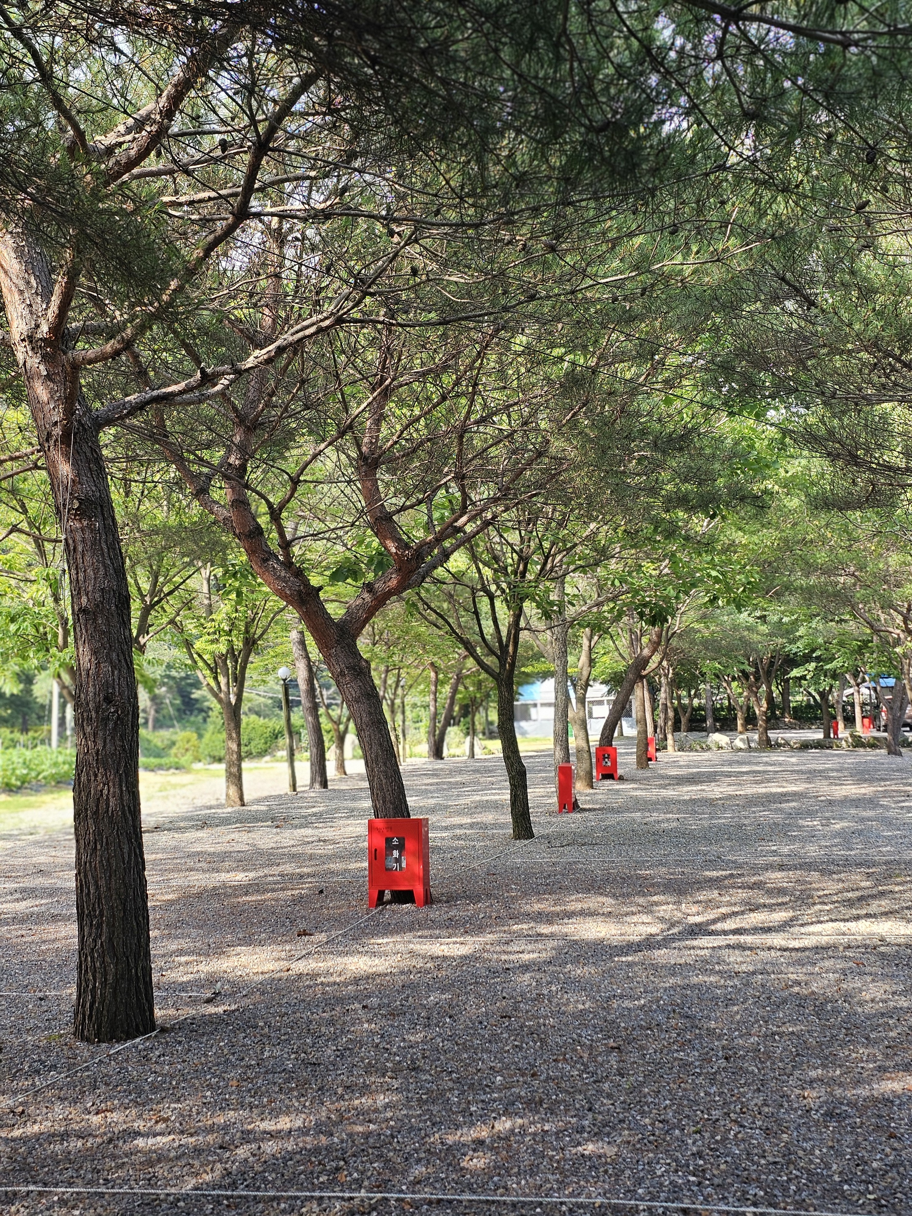 청산 캠프 6번째 이미지