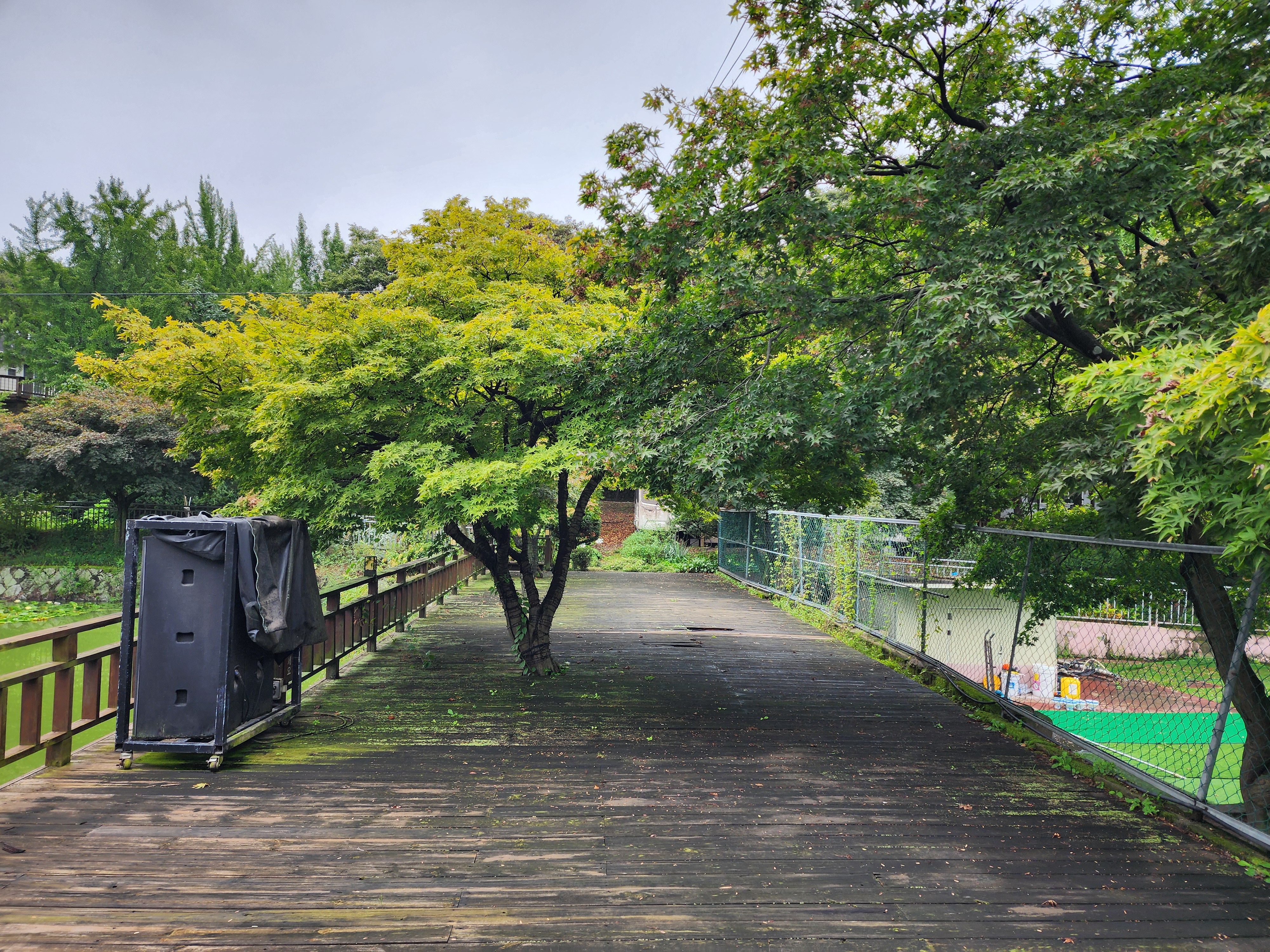 청암관광농원 25번째 이미지
