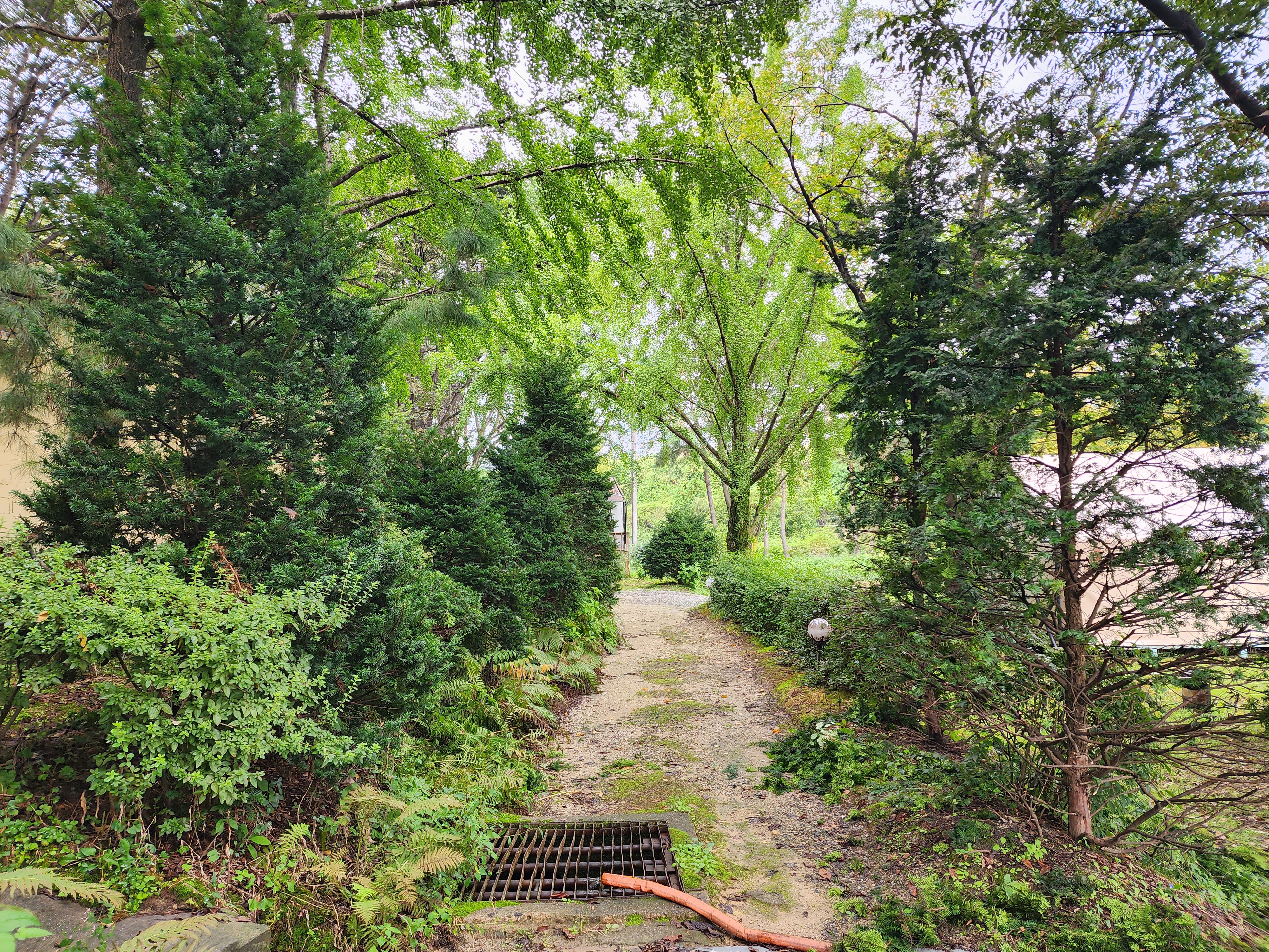 청암관광농원 27번째 이미지