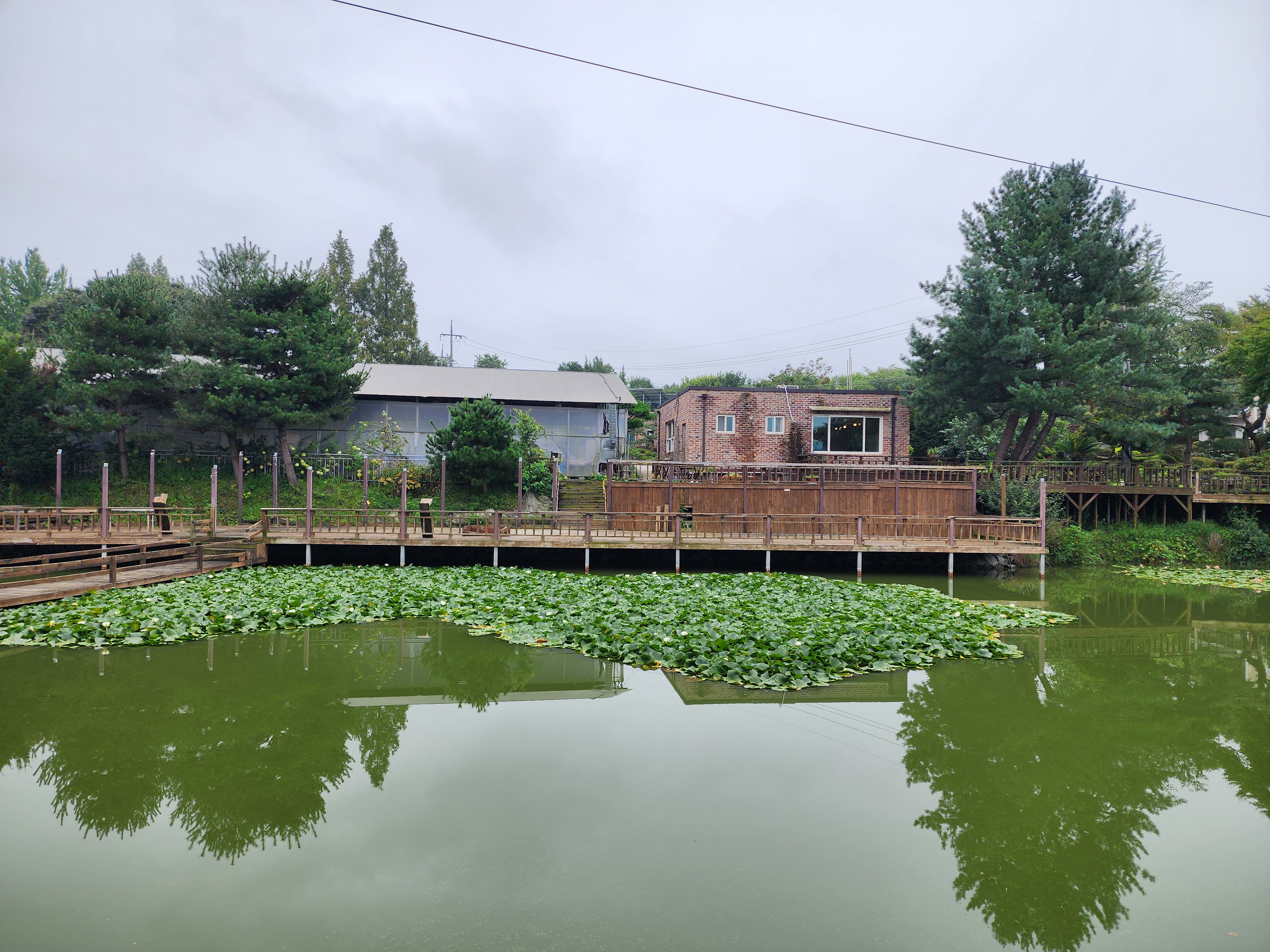 청암관광농원 44번째 이미지