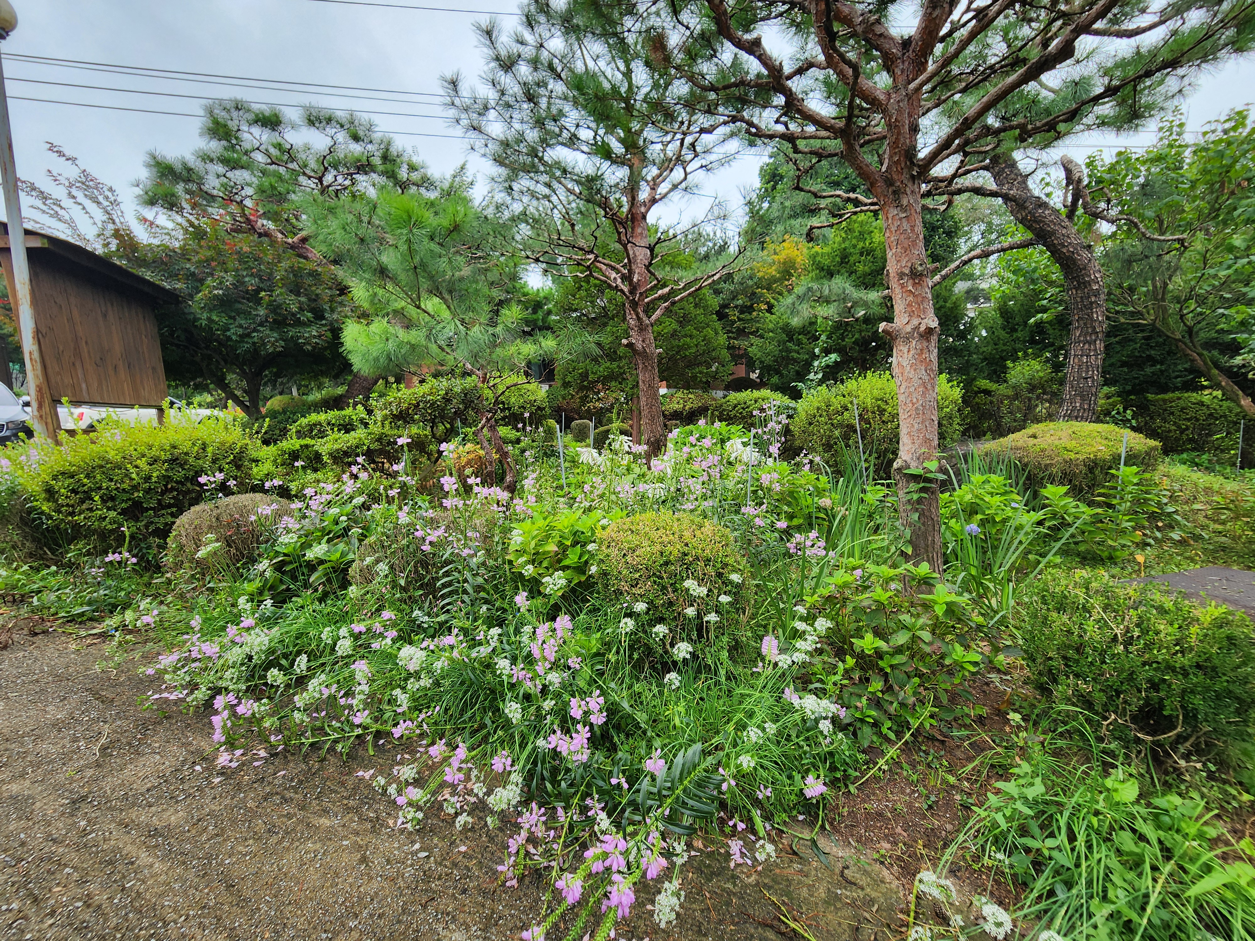 청암관광농원 17번째 이미지