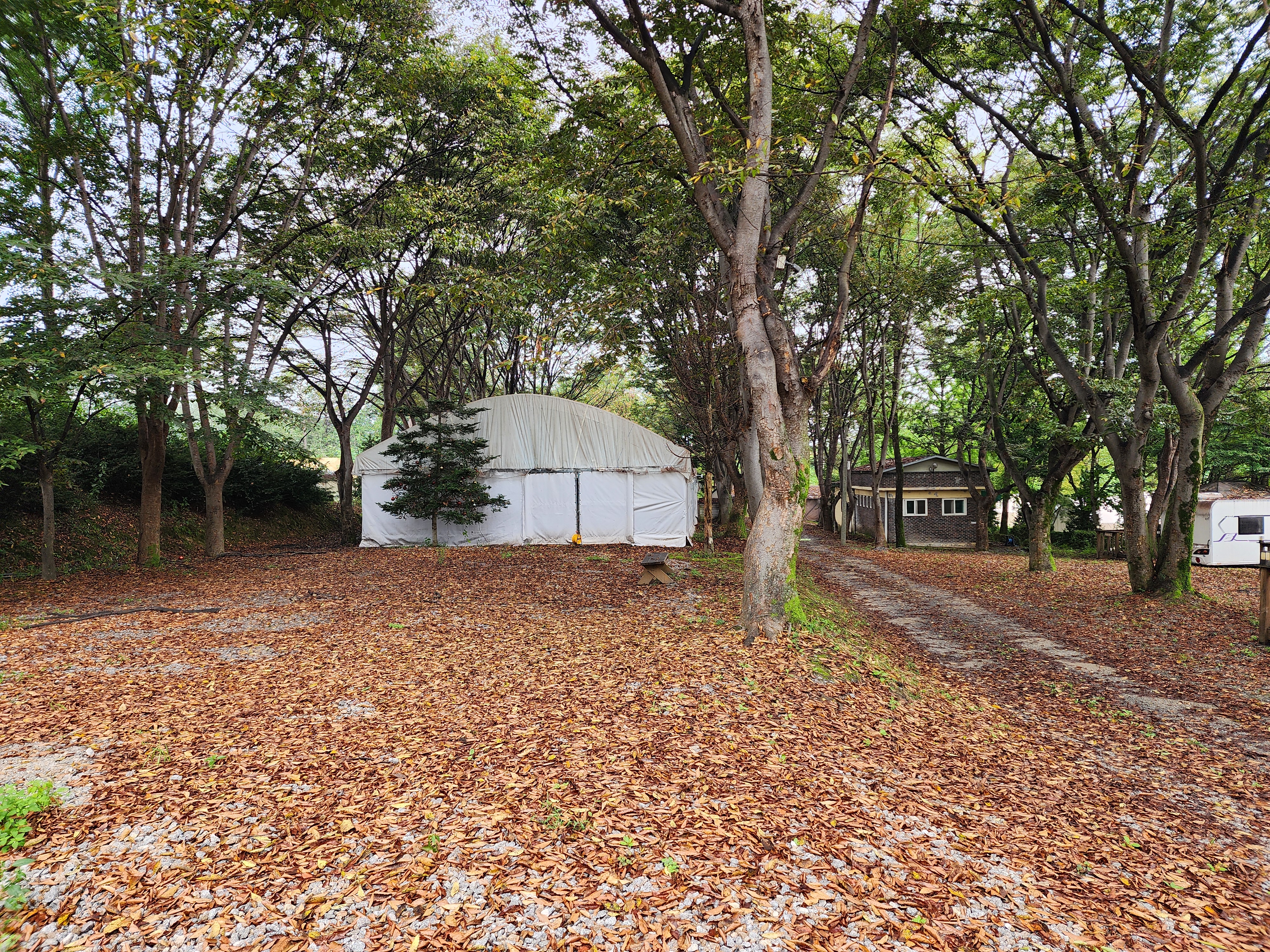 청암관광농원 11번째 이미지