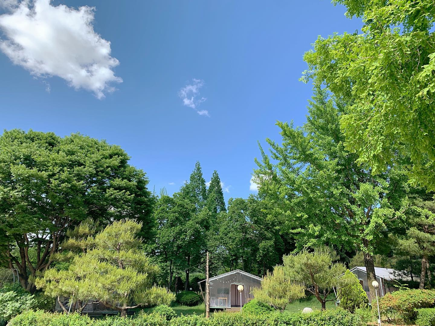 청암관광농원 43번째 이미지