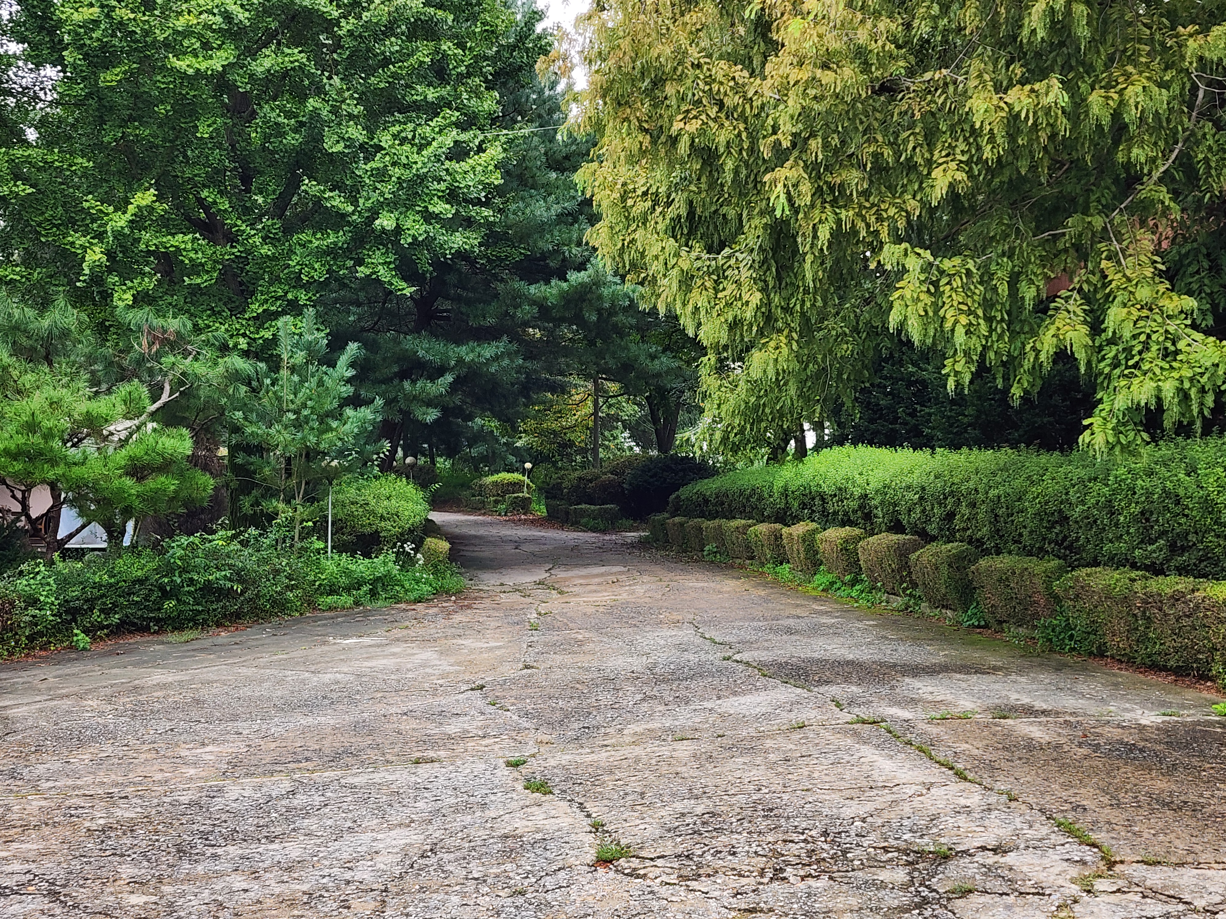 청암관광농원 40번째 이미지