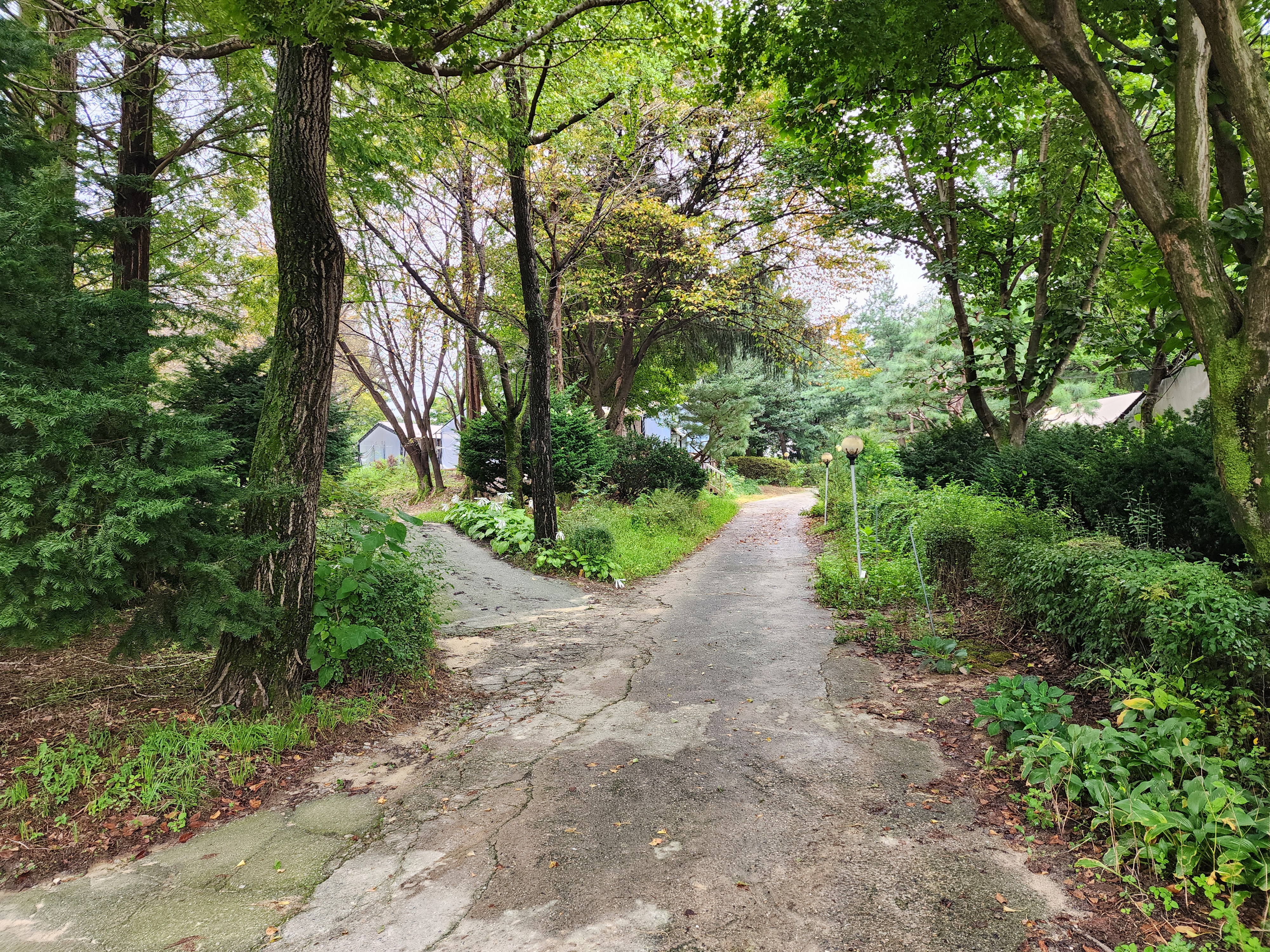 청암관광농원 31번째 이미지