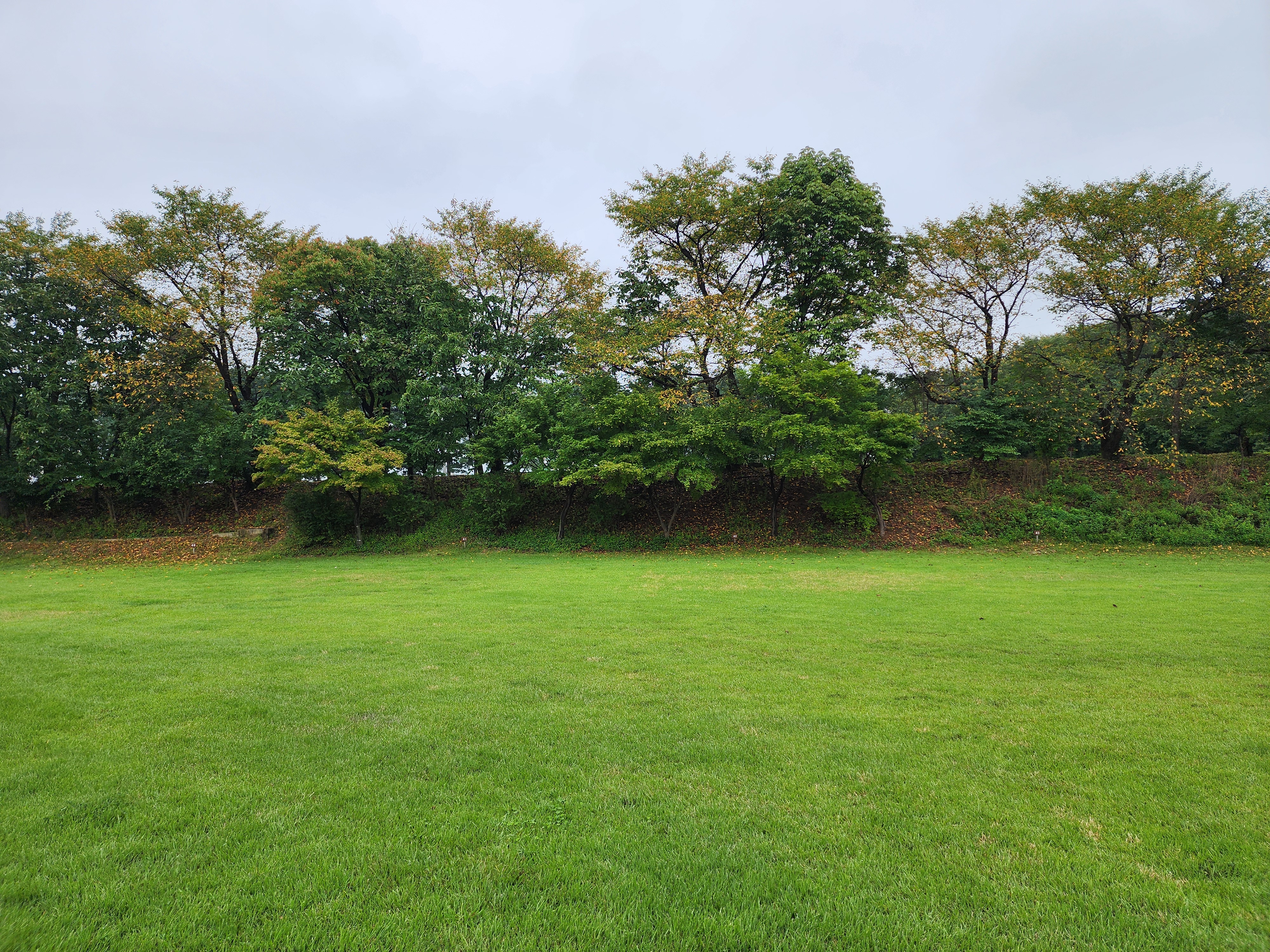 청암관광농원 35번째 이미지