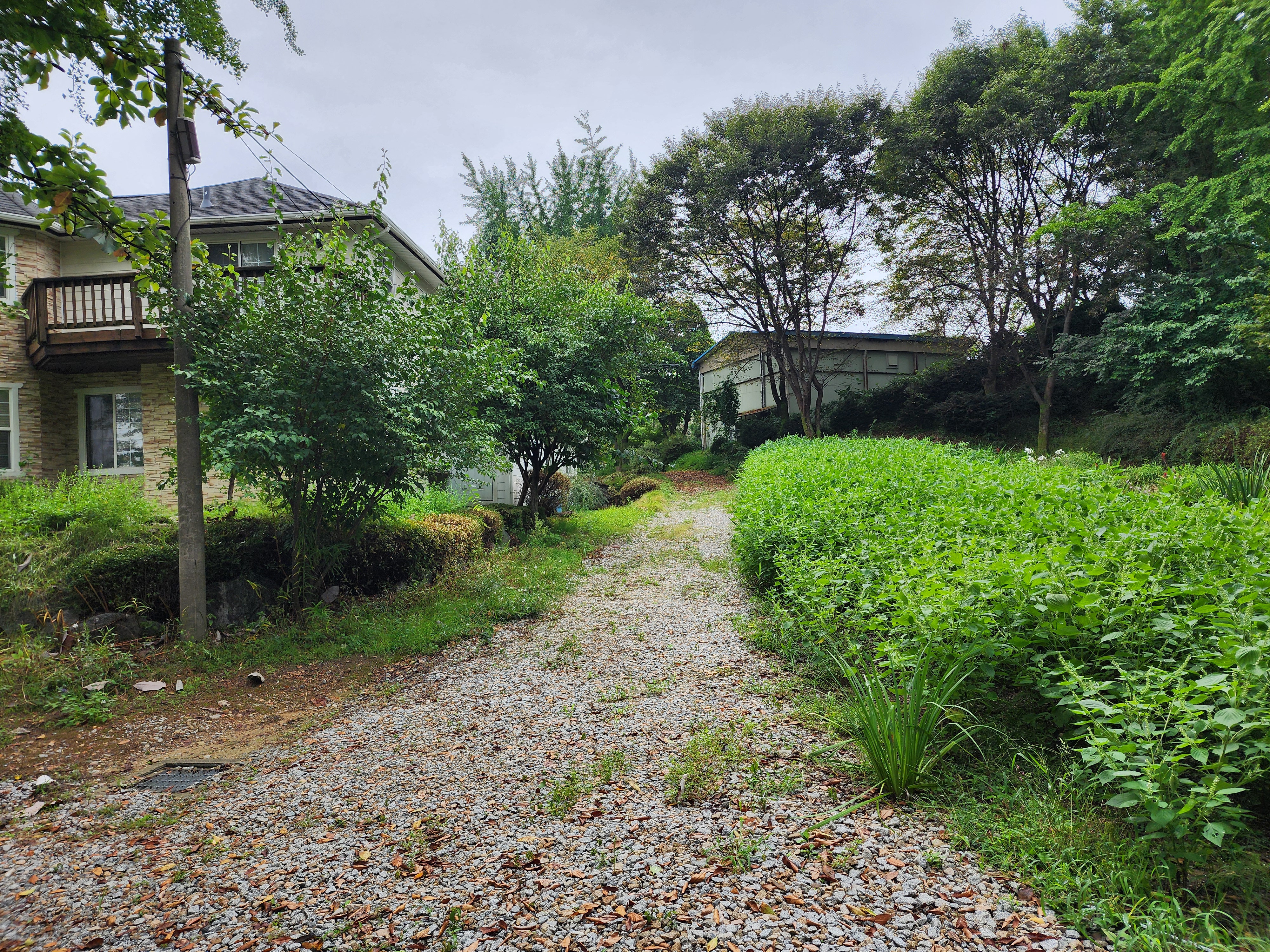 청암관광농원 10번째 이미지