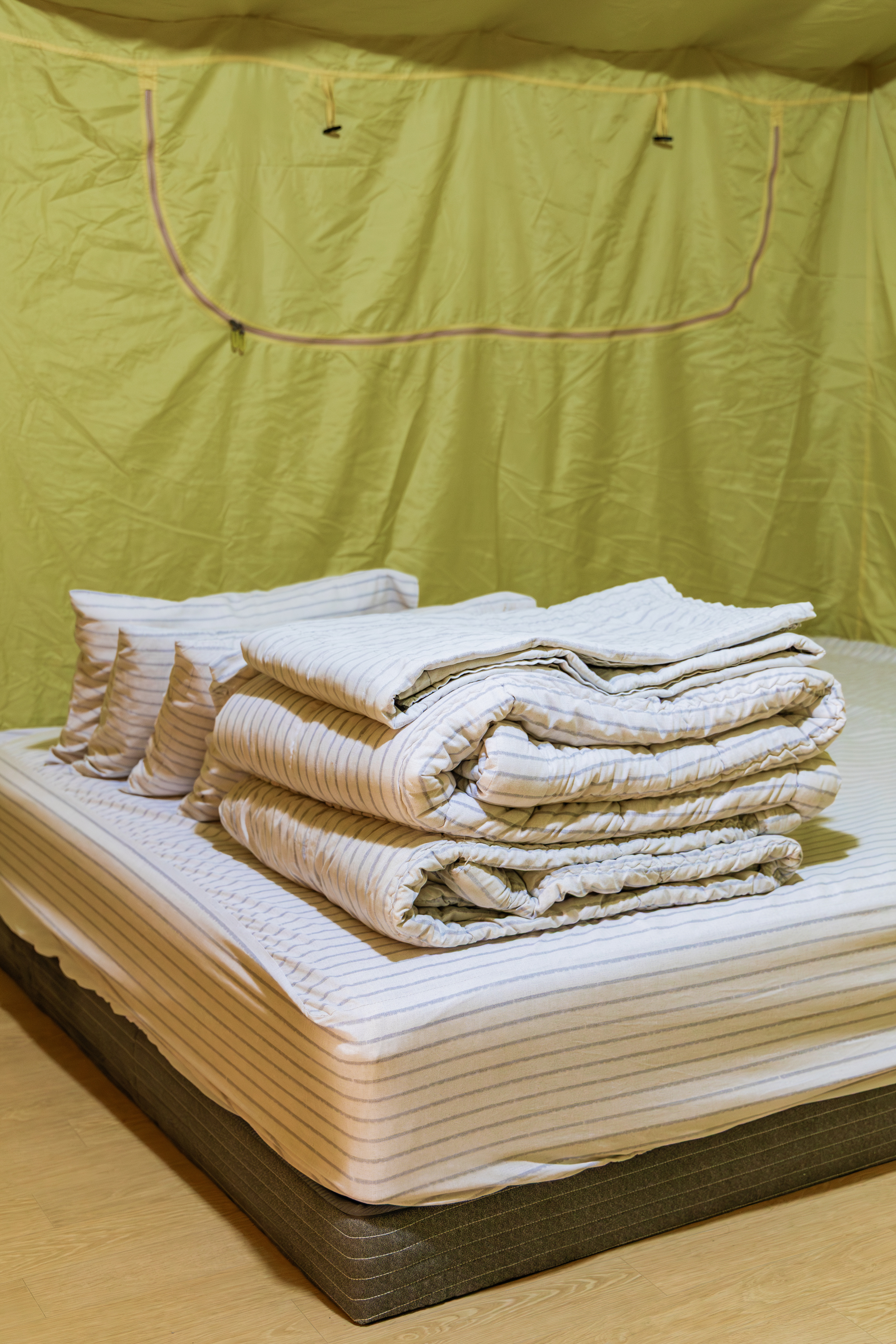 초막골생태공원 느티나무야영장 23번째 이미지