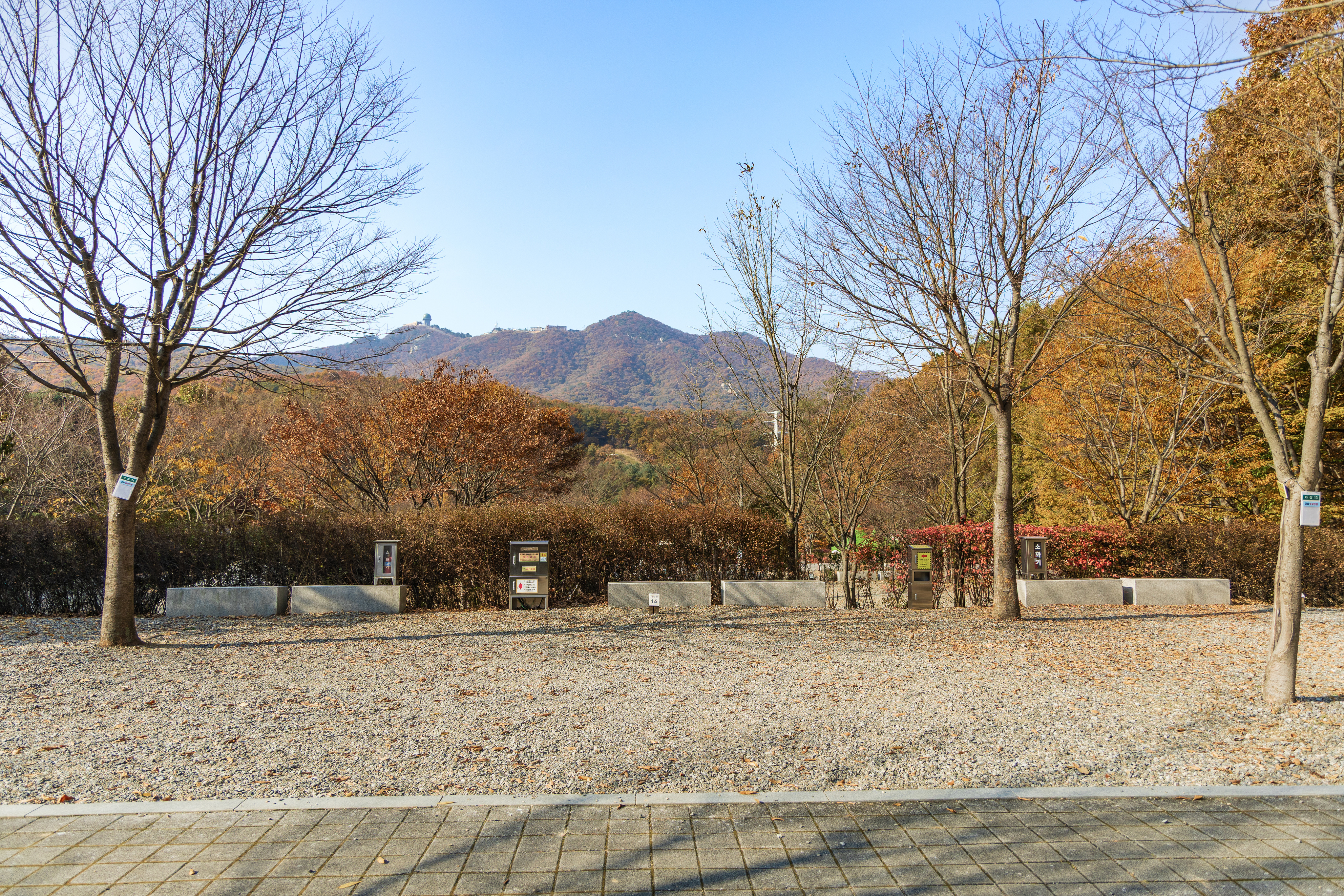 초막골생태공원 느티나무야영장 58번째 이미지