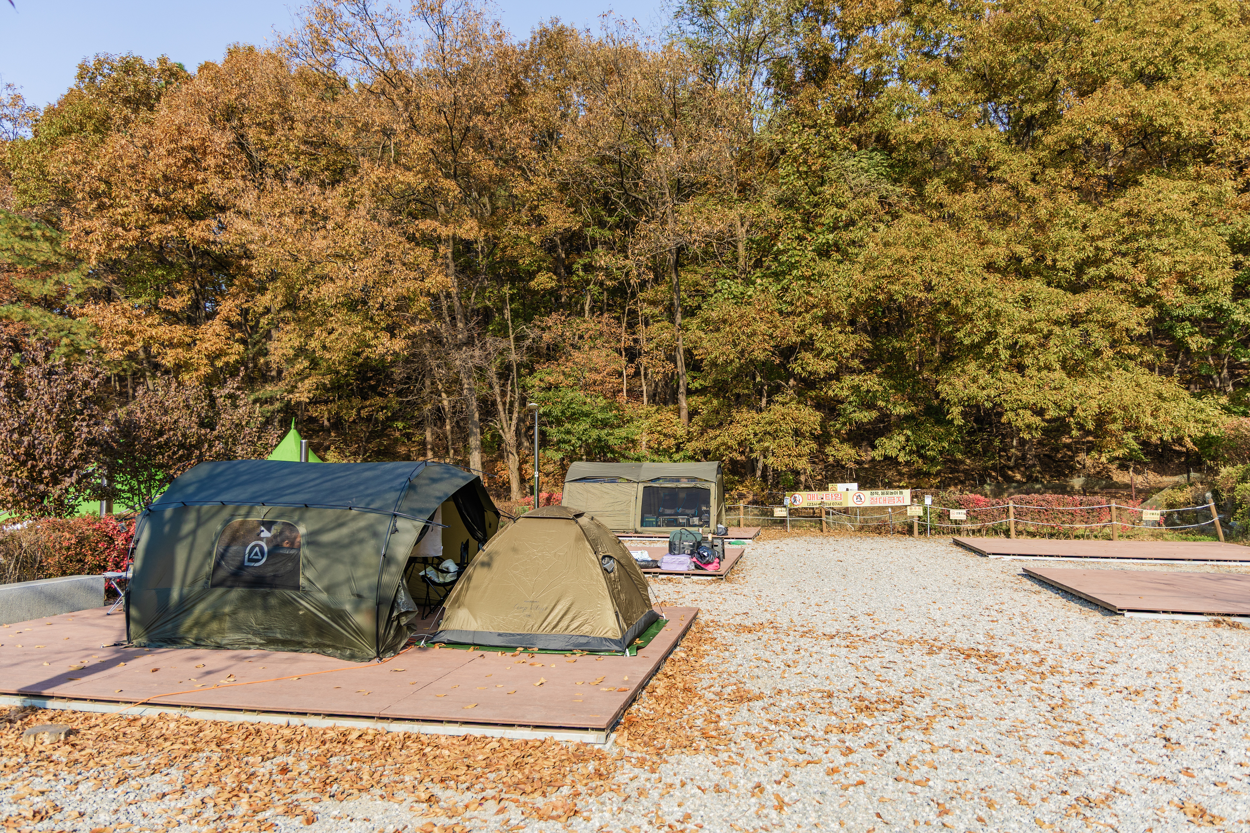 초막골생태공원 느티나무야영장 33번째 이미지