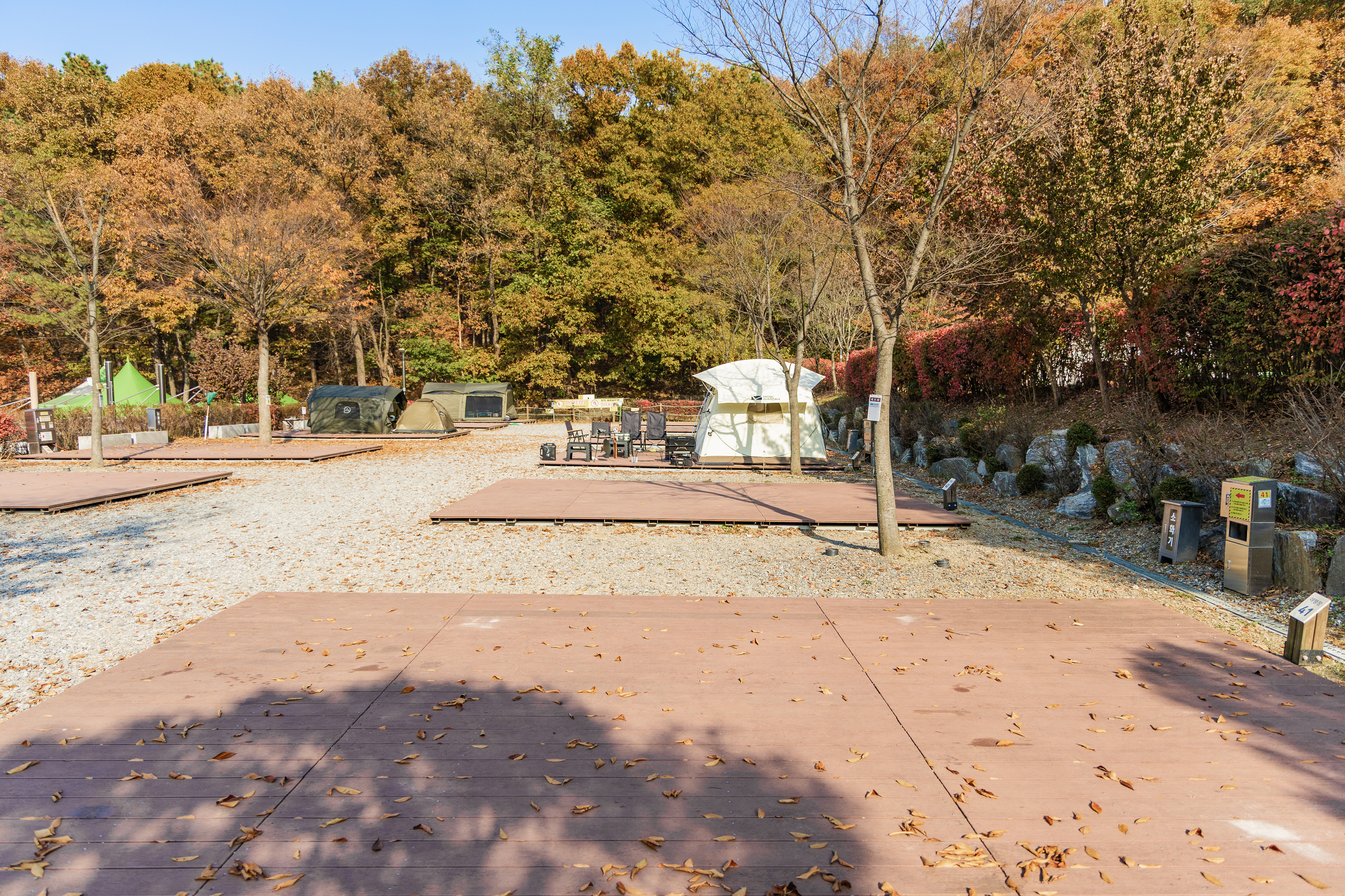 초막골생태공원 느티나무야영장 28번째 이미지