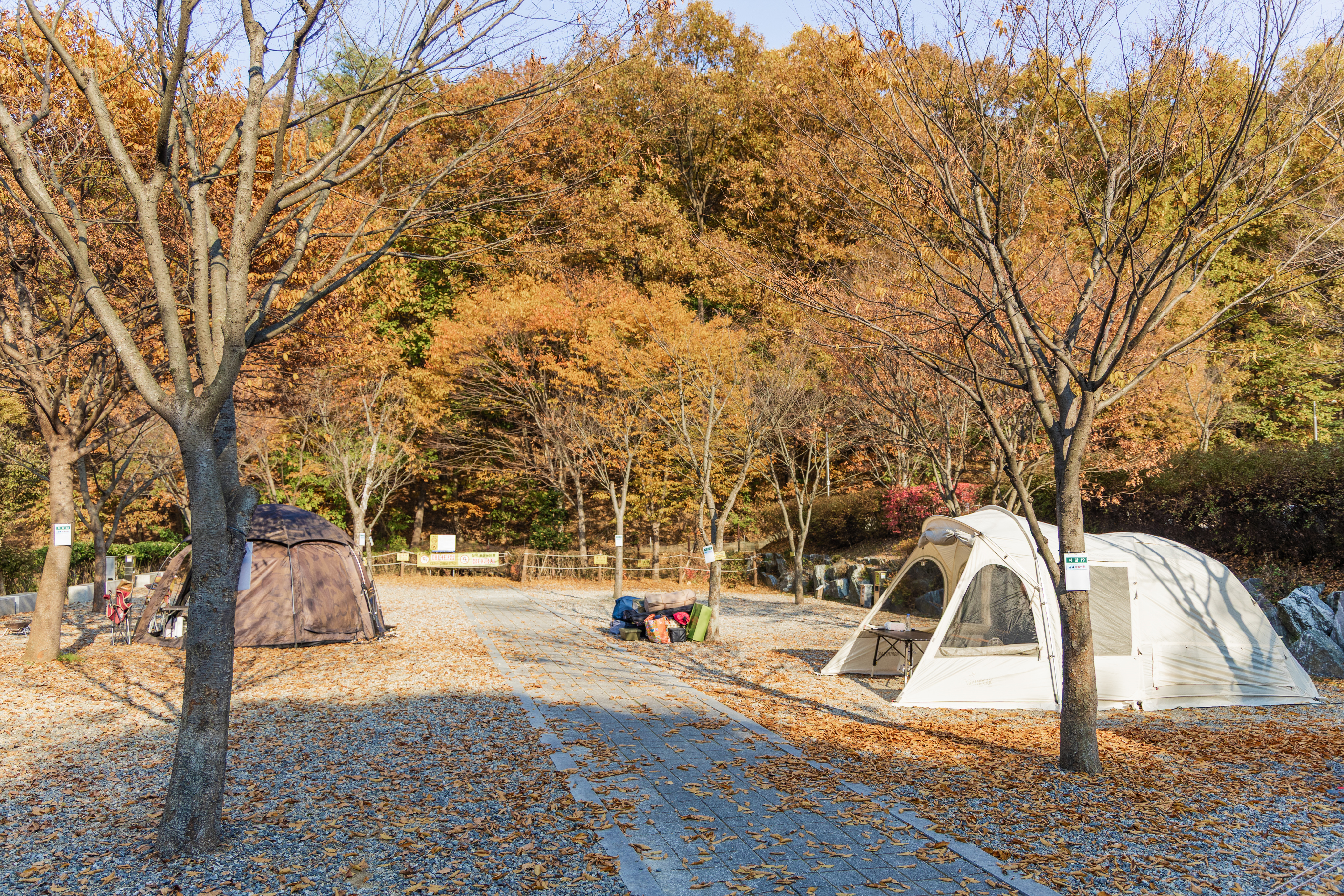 초막골생태공원 느티나무야영장 60번째 이미지
