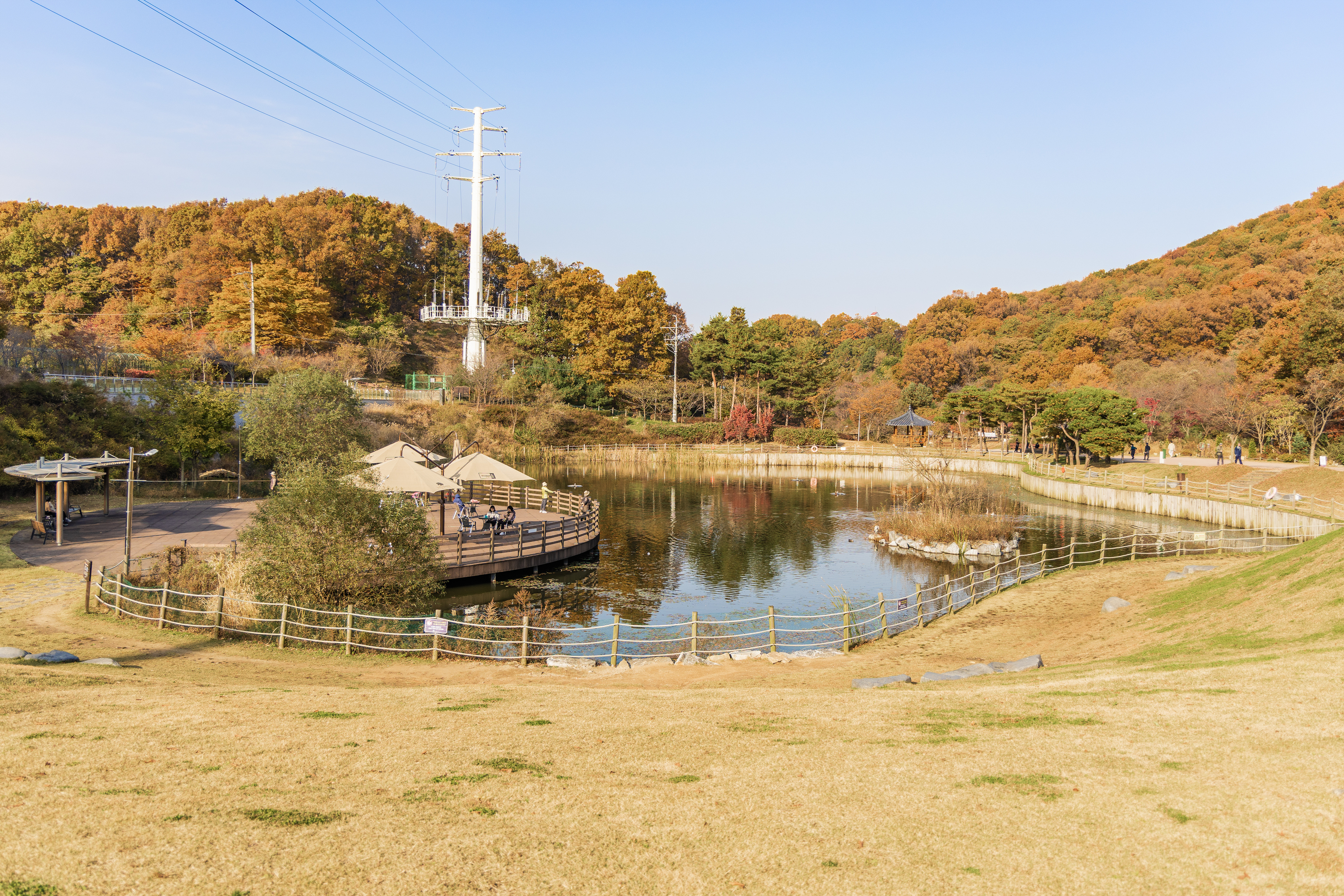 초막골생태공원 느티나무야영장 76번째 이미지
