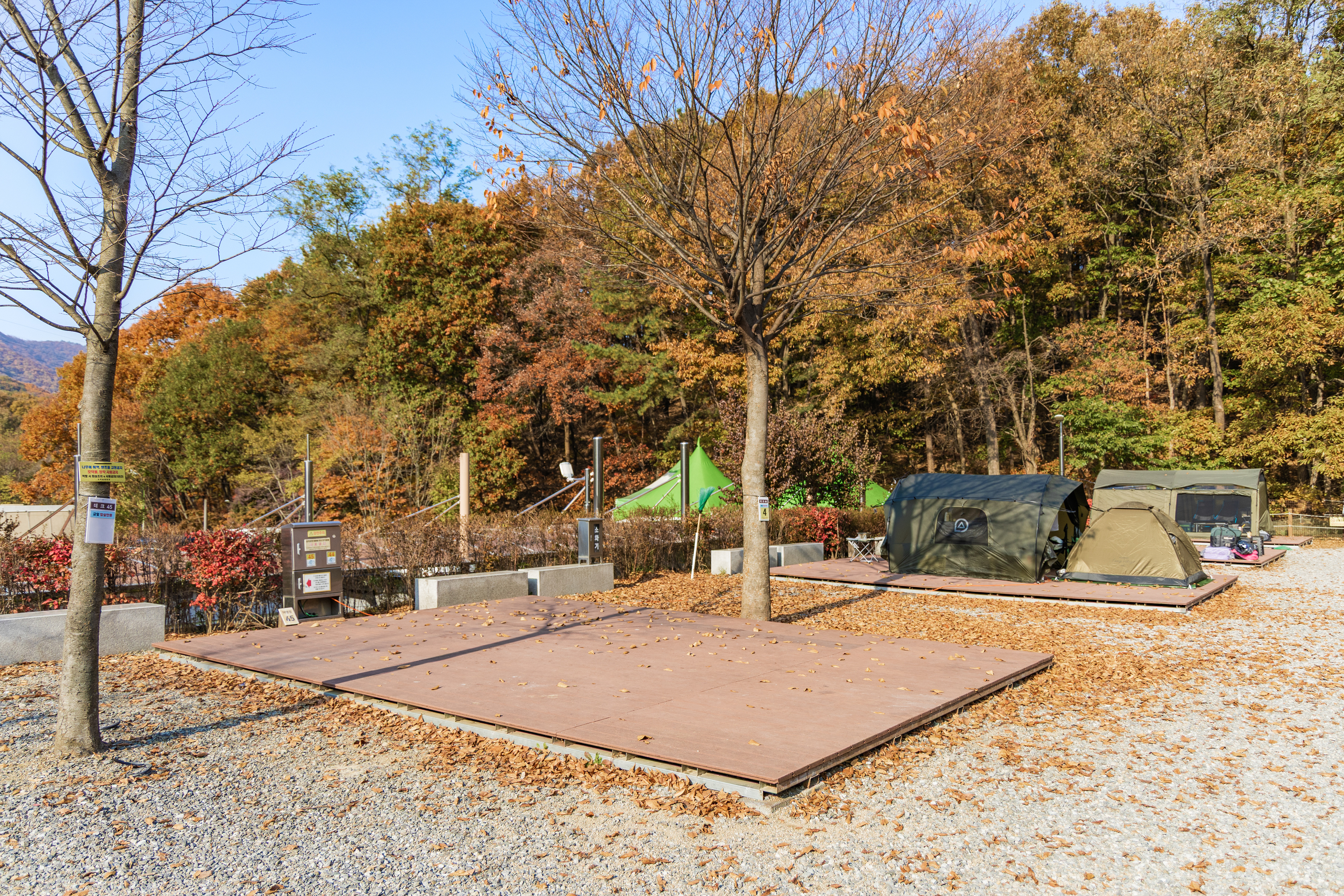 초막골생태공원 느티나무야영장 35번째 이미지