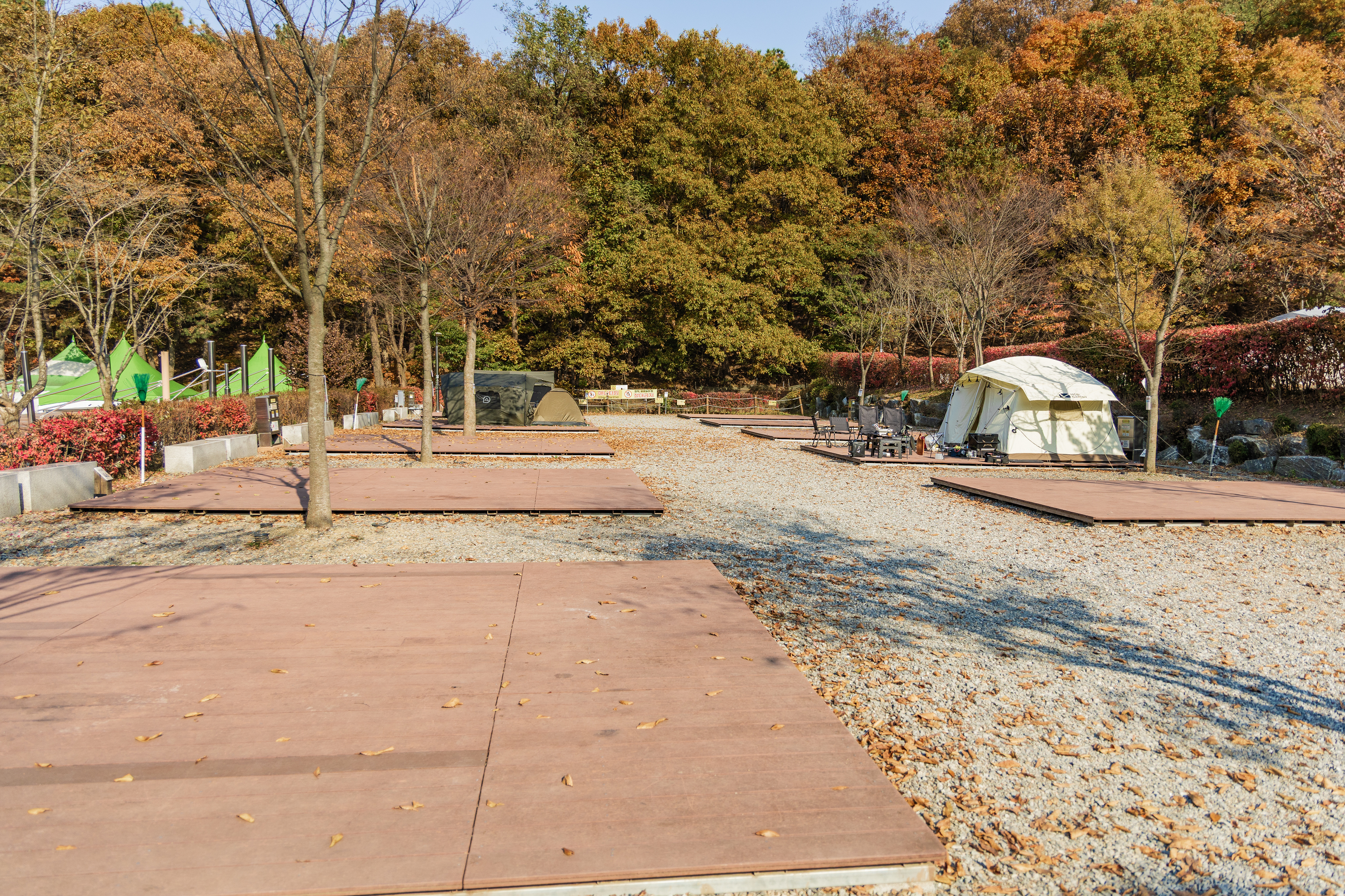 초막골생태공원 느티나무야영장 27번째 이미지