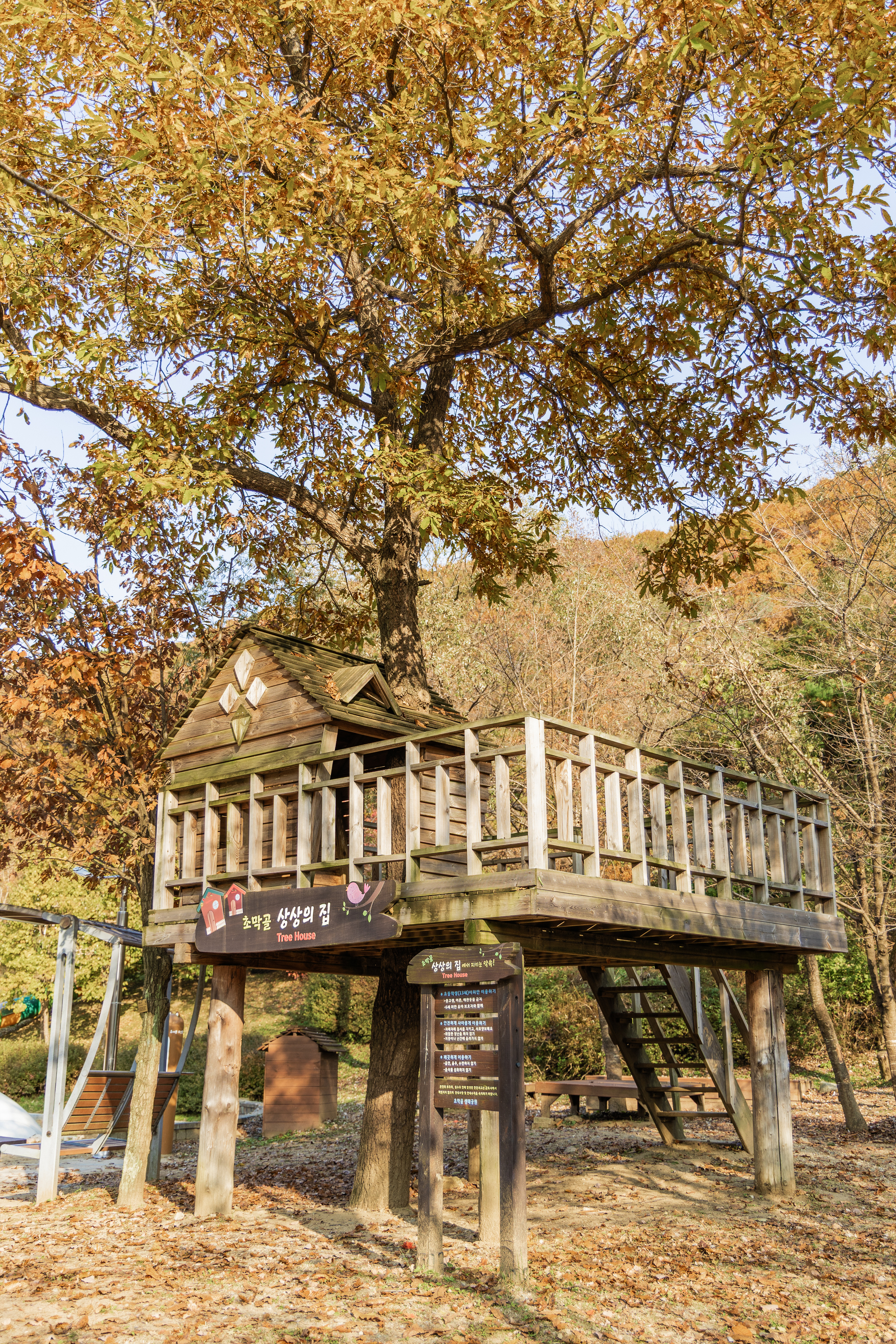 초막골생태공원 느티나무야영장 79번째 이미지