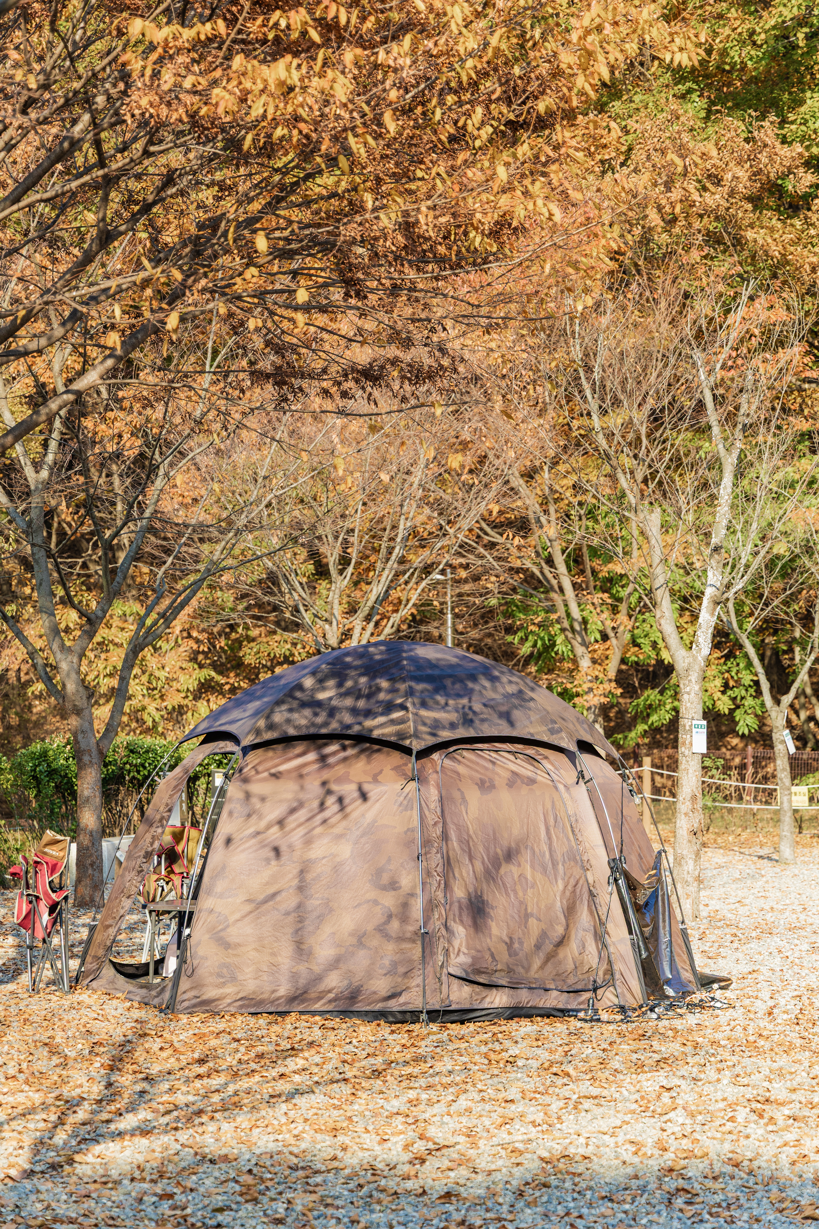 초막골생태공원 느티나무야영장 61번째 이미지