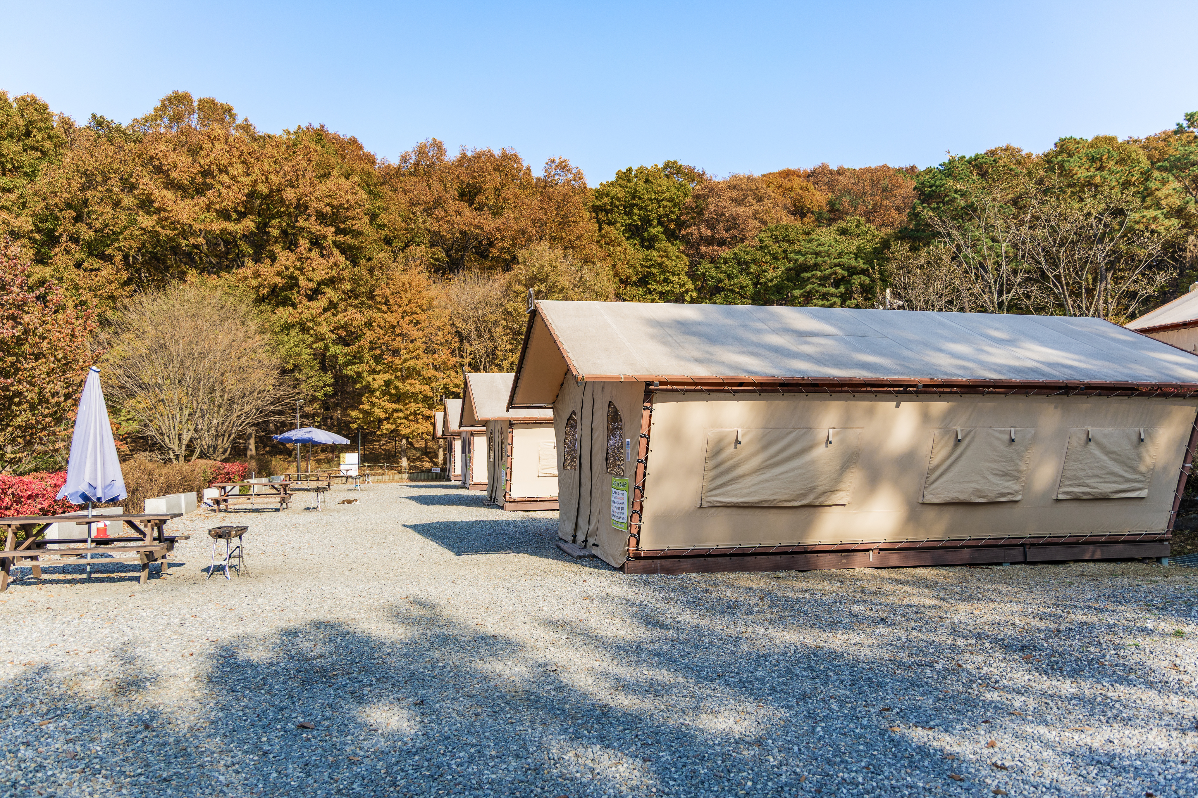 초막골생태공원 느티나무야영장 45번째 이미지