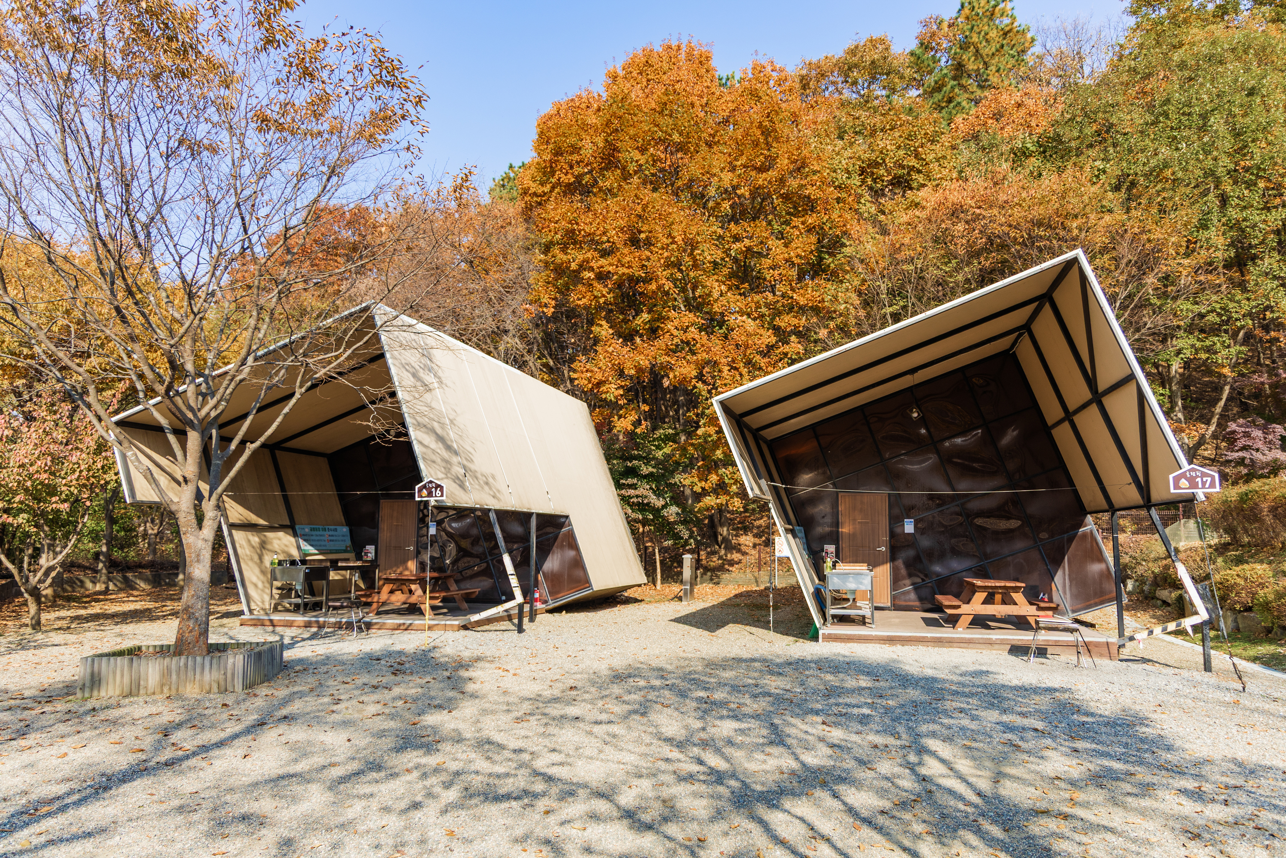 초막골생태공원 느티나무야영장 64번째 이미지