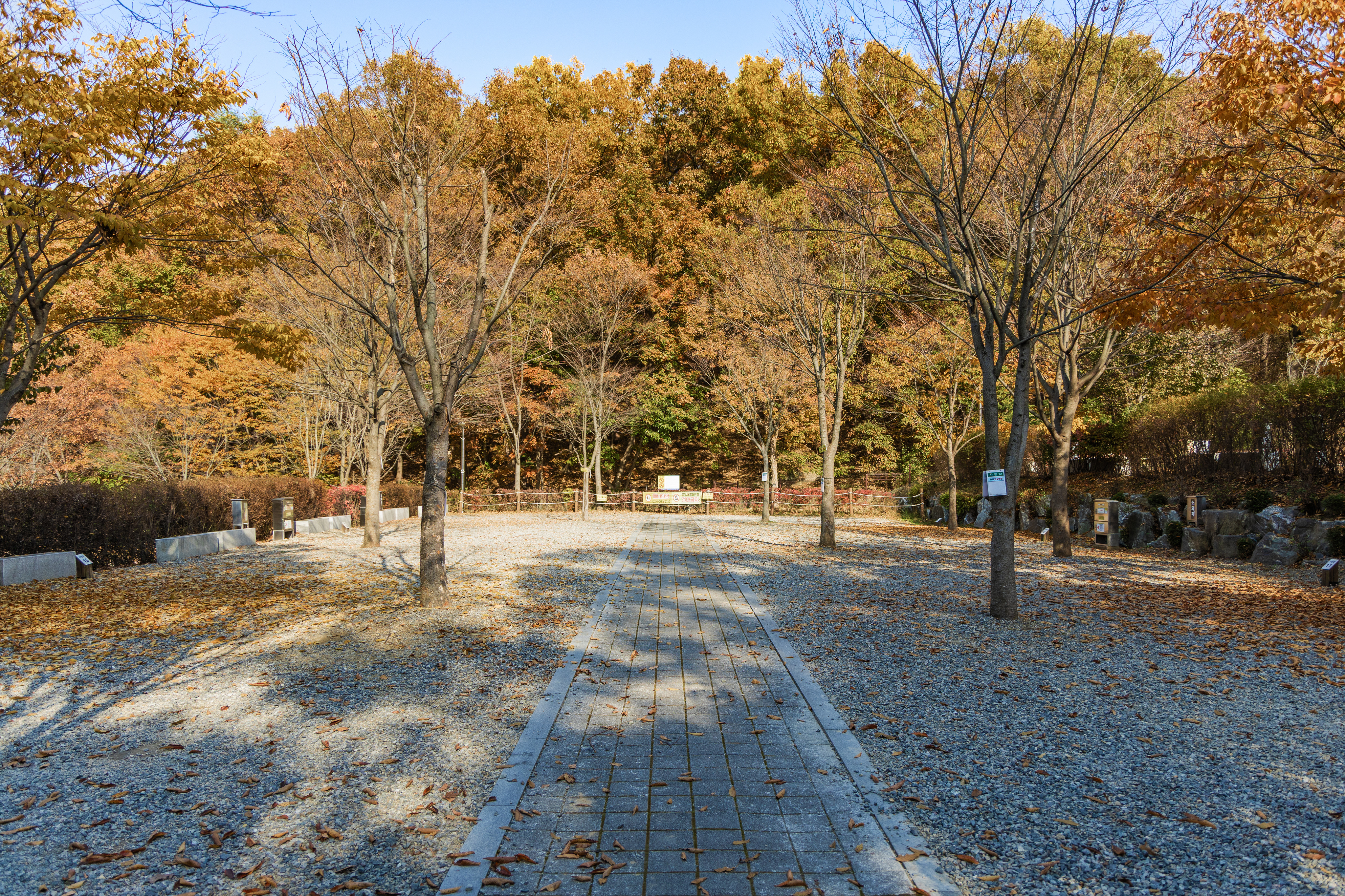 초막골생태공원 느티나무야영장 57번째 이미지