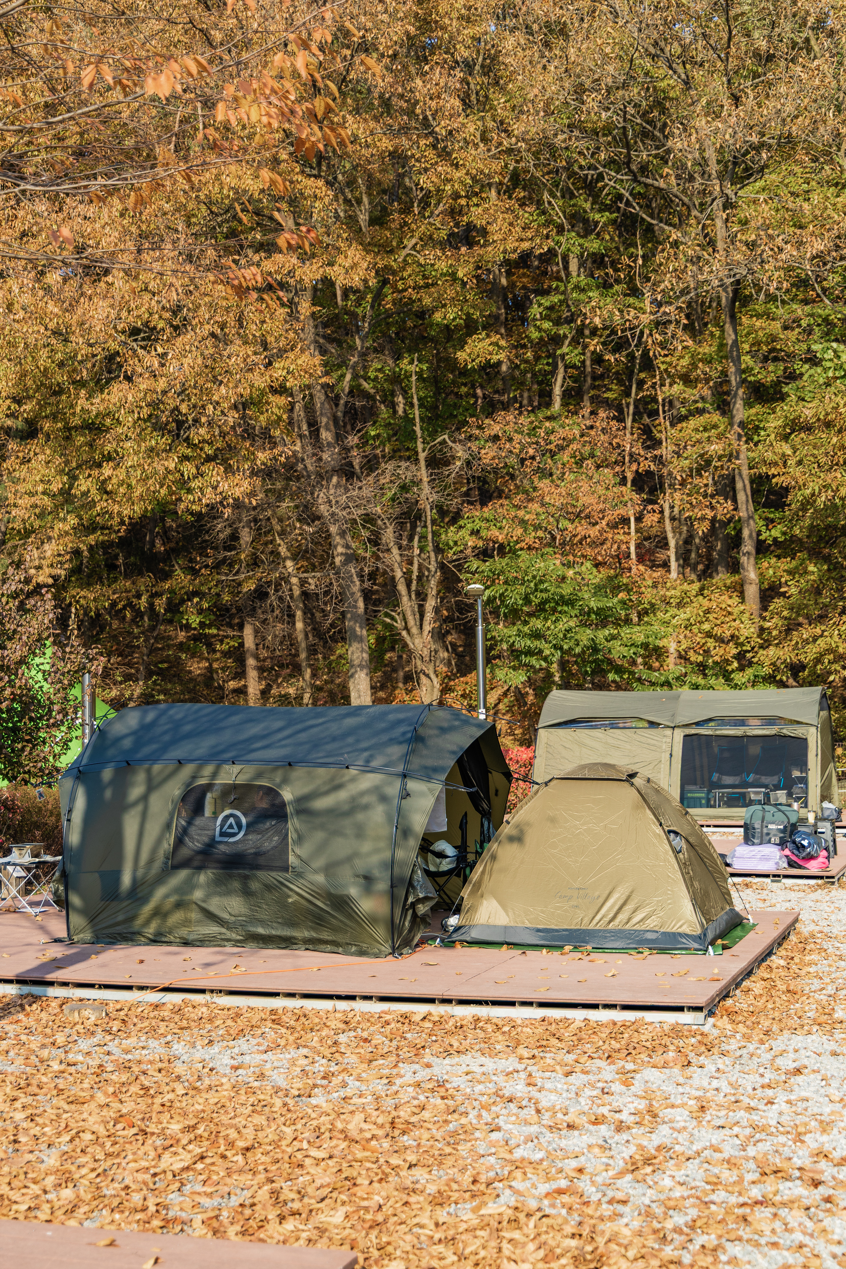 초막골생태공원 느티나무야영장 34번째 이미지