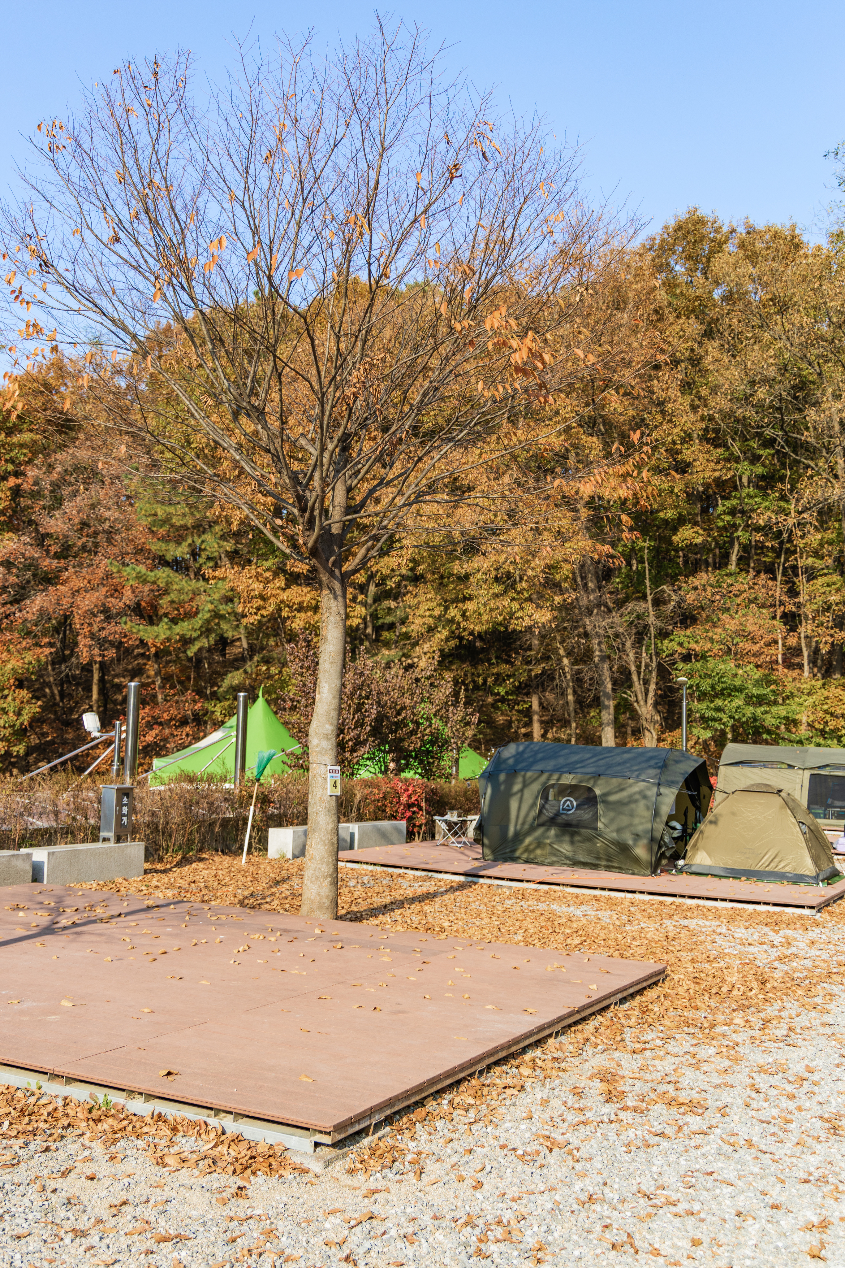 초막골생태공원 느티나무야영장 32번째 이미지