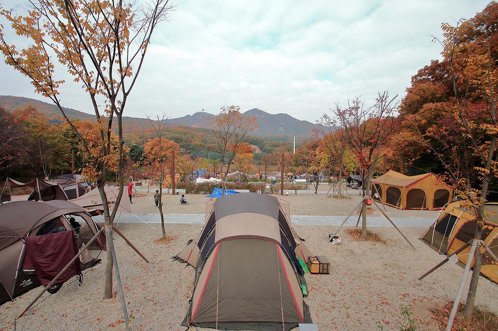 초막골생태공원 느티나무야영장 이미지