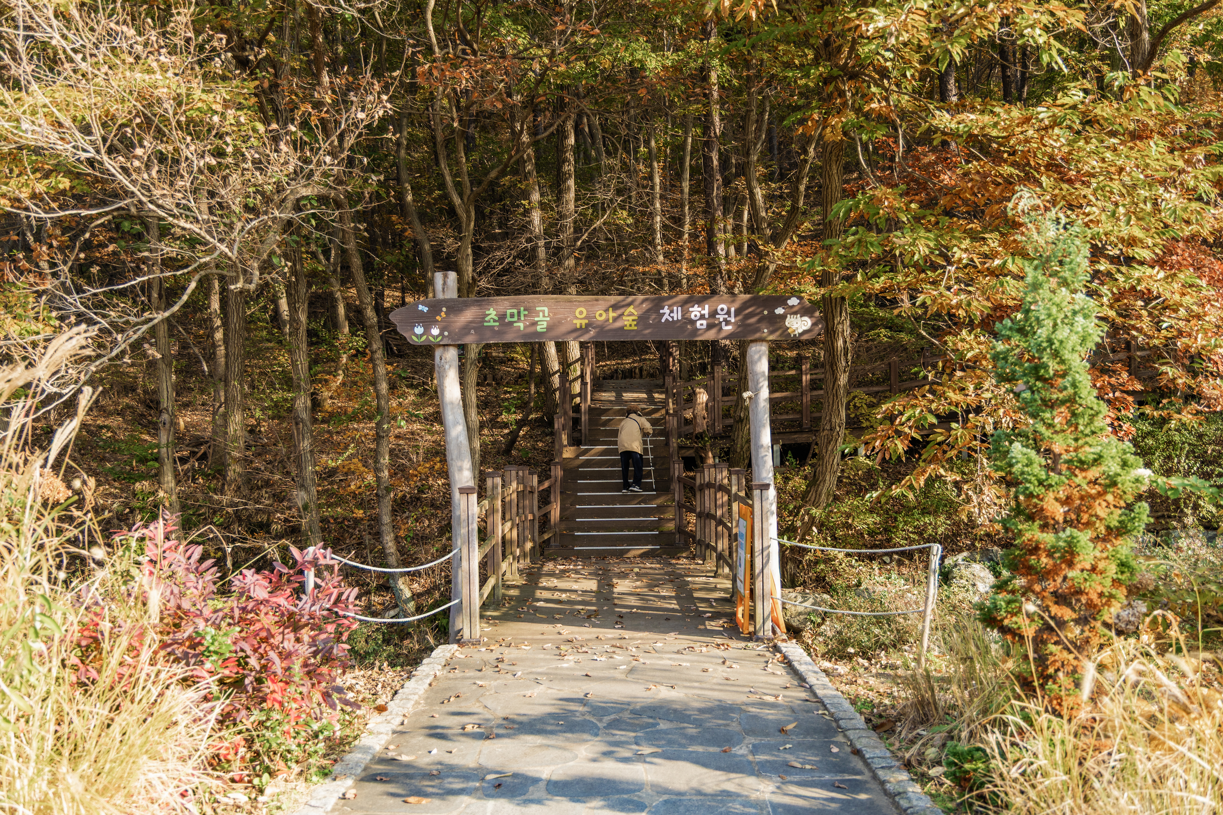 초막골생태공원 느티나무야영장 77번째 이미지