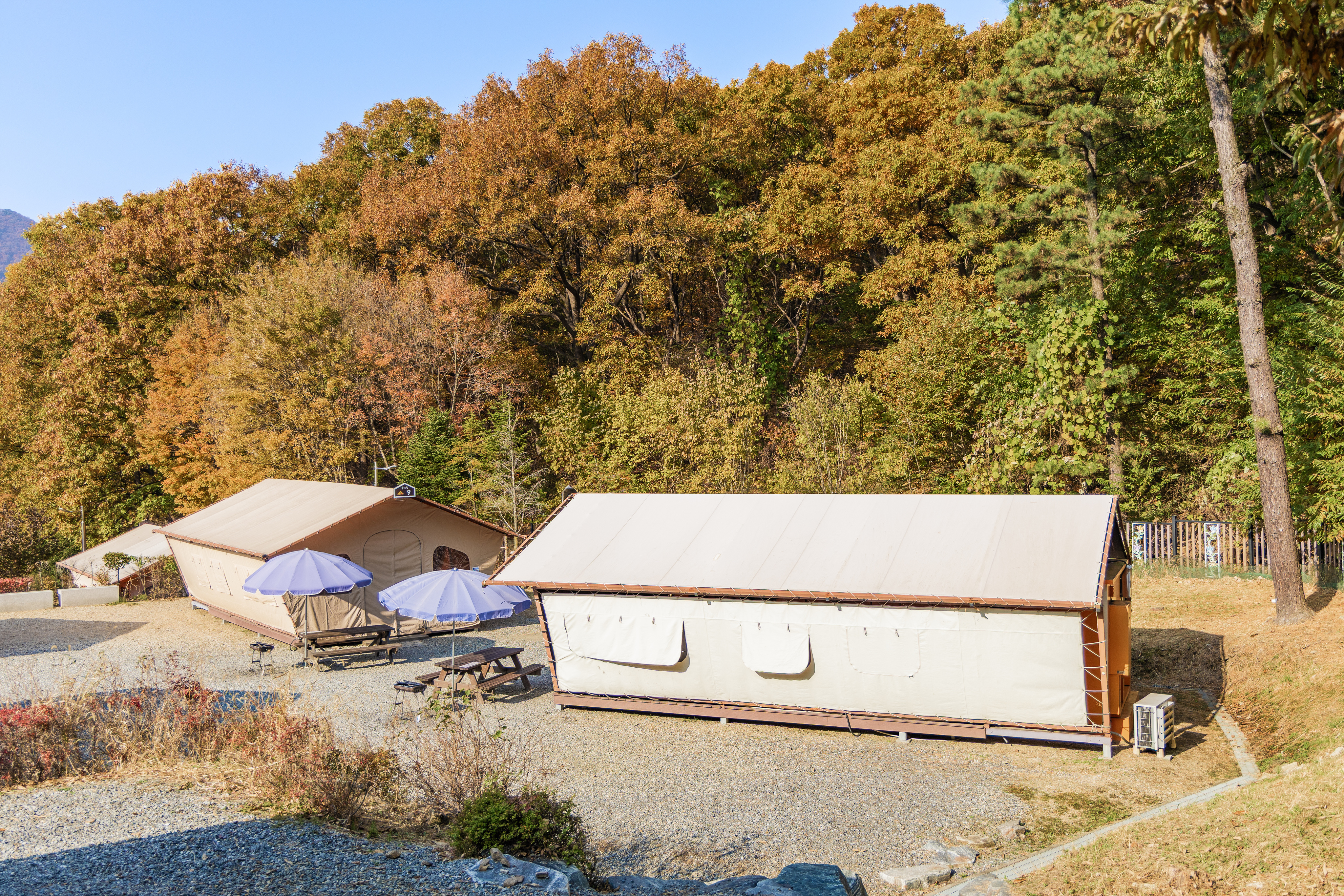 초막골생태공원 느티나무야영장 11번째 이미지