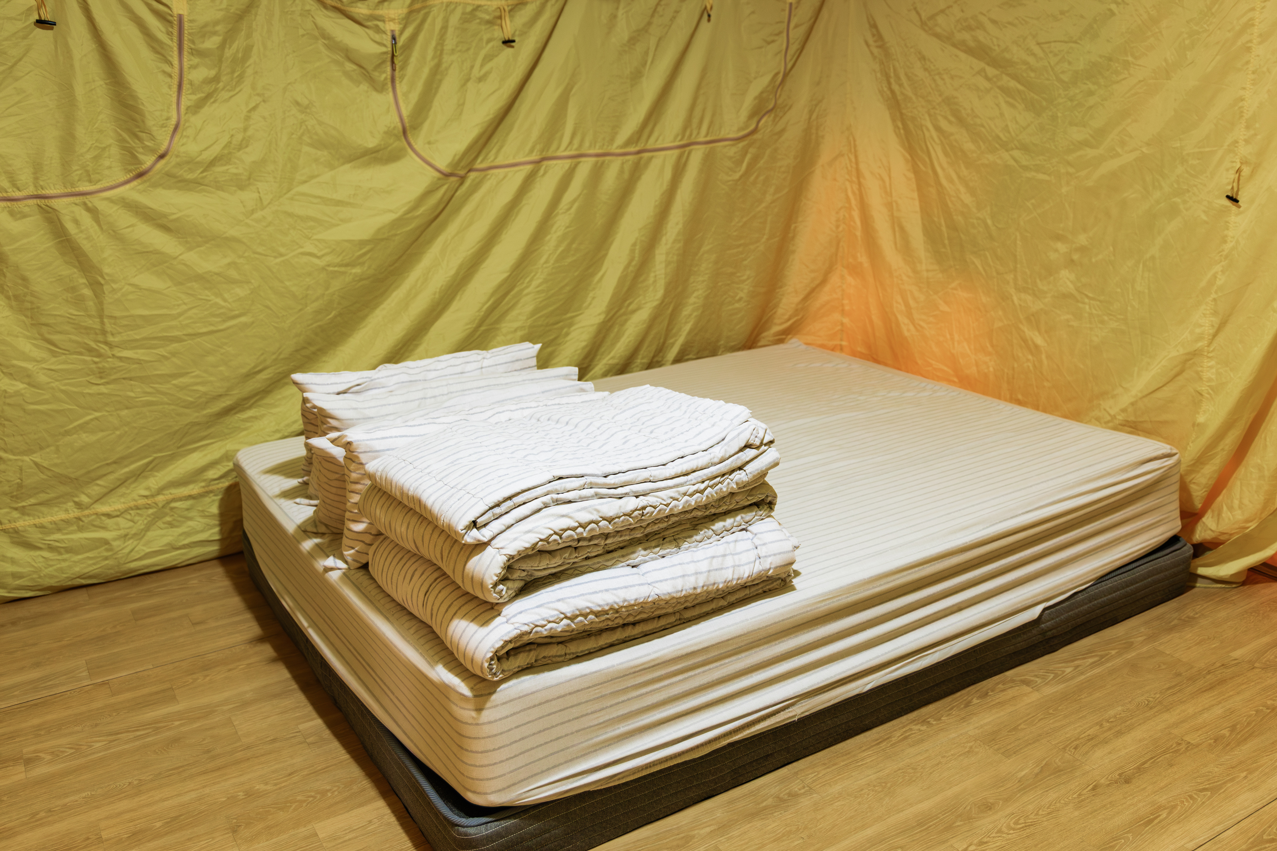 초막골생태공원 느티나무야영장 53번째 이미지