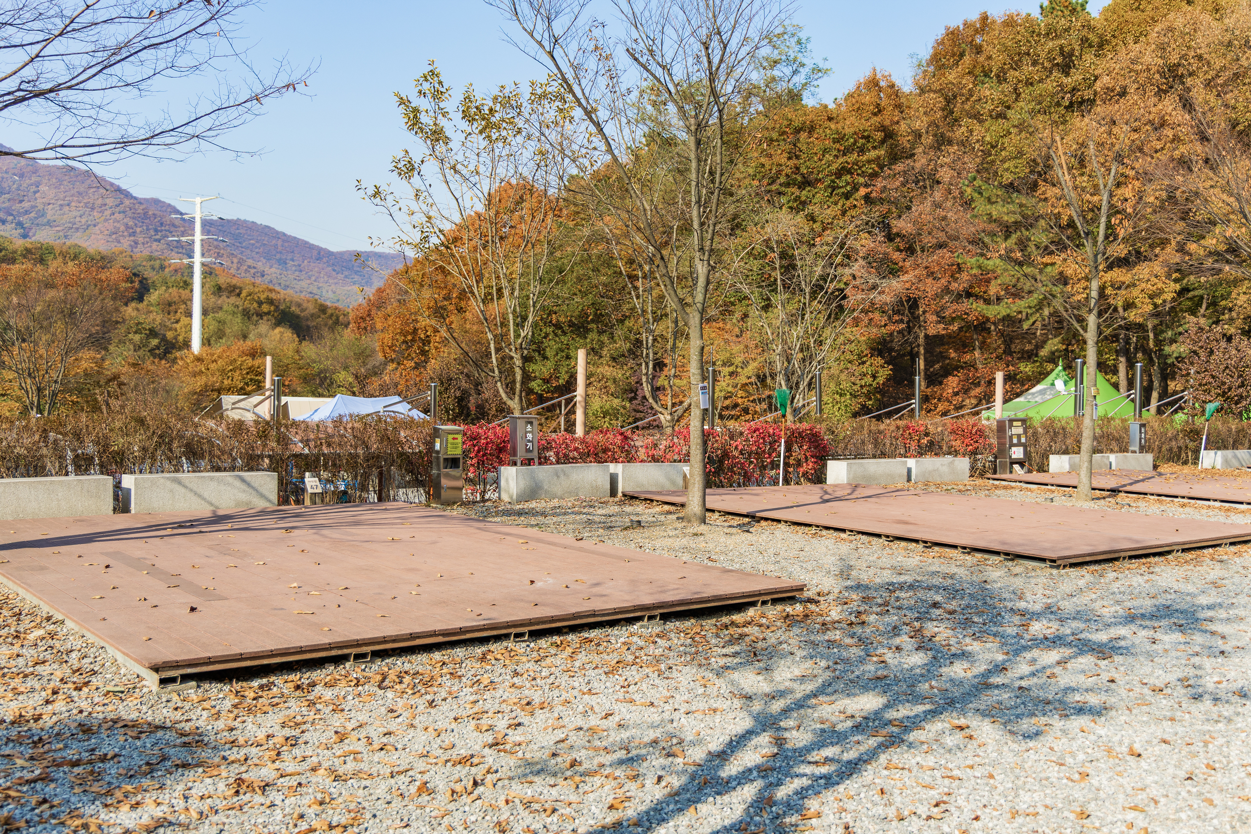 초막골생태공원 느티나무야영장 29번째 이미지